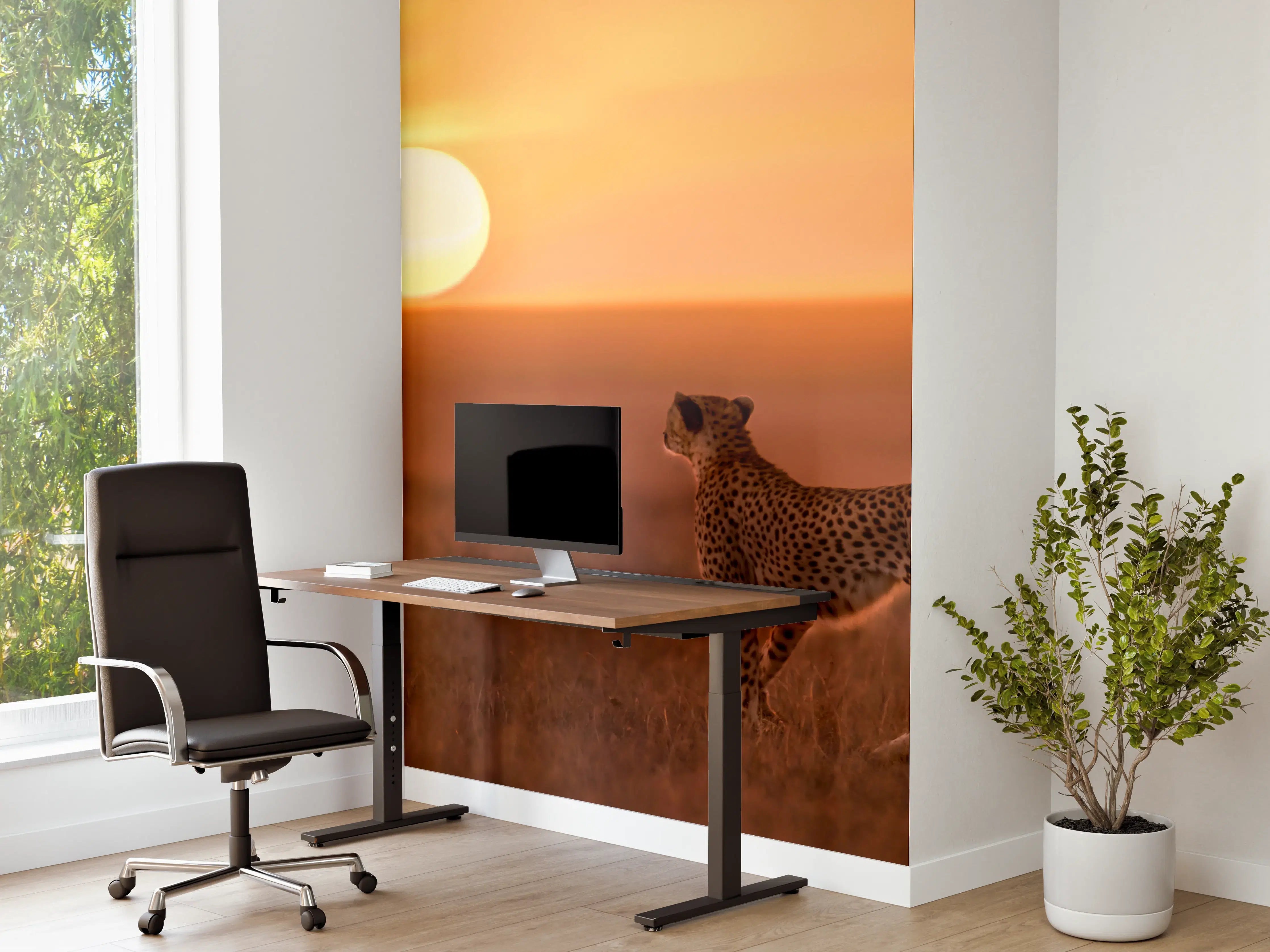 Büro Wandgestaltung - Sonnenaufgang in der Savanne - Afrika