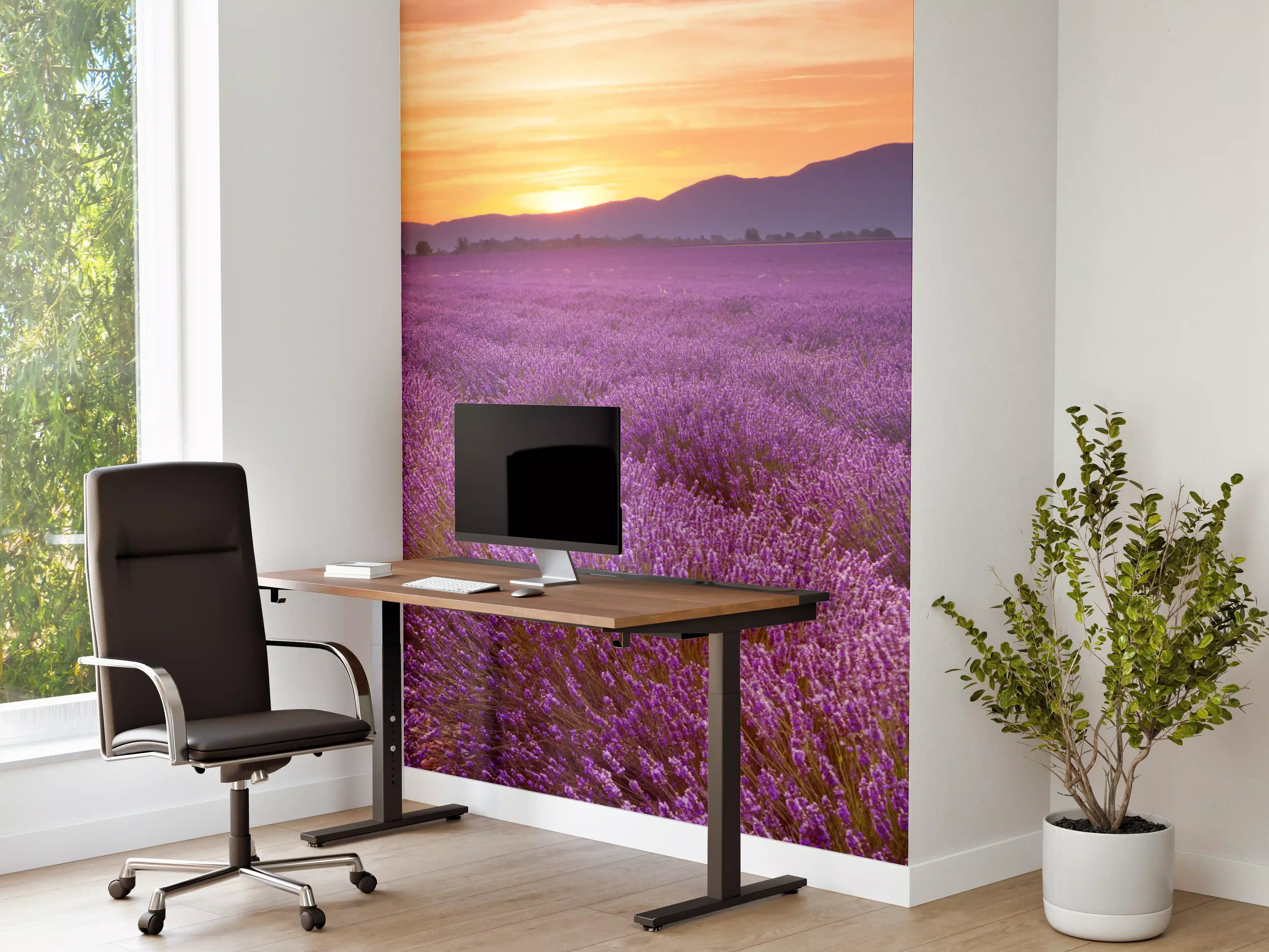 Büro Wandgestaltung - Sonnenaufgang über Lavendelfelder - Provence