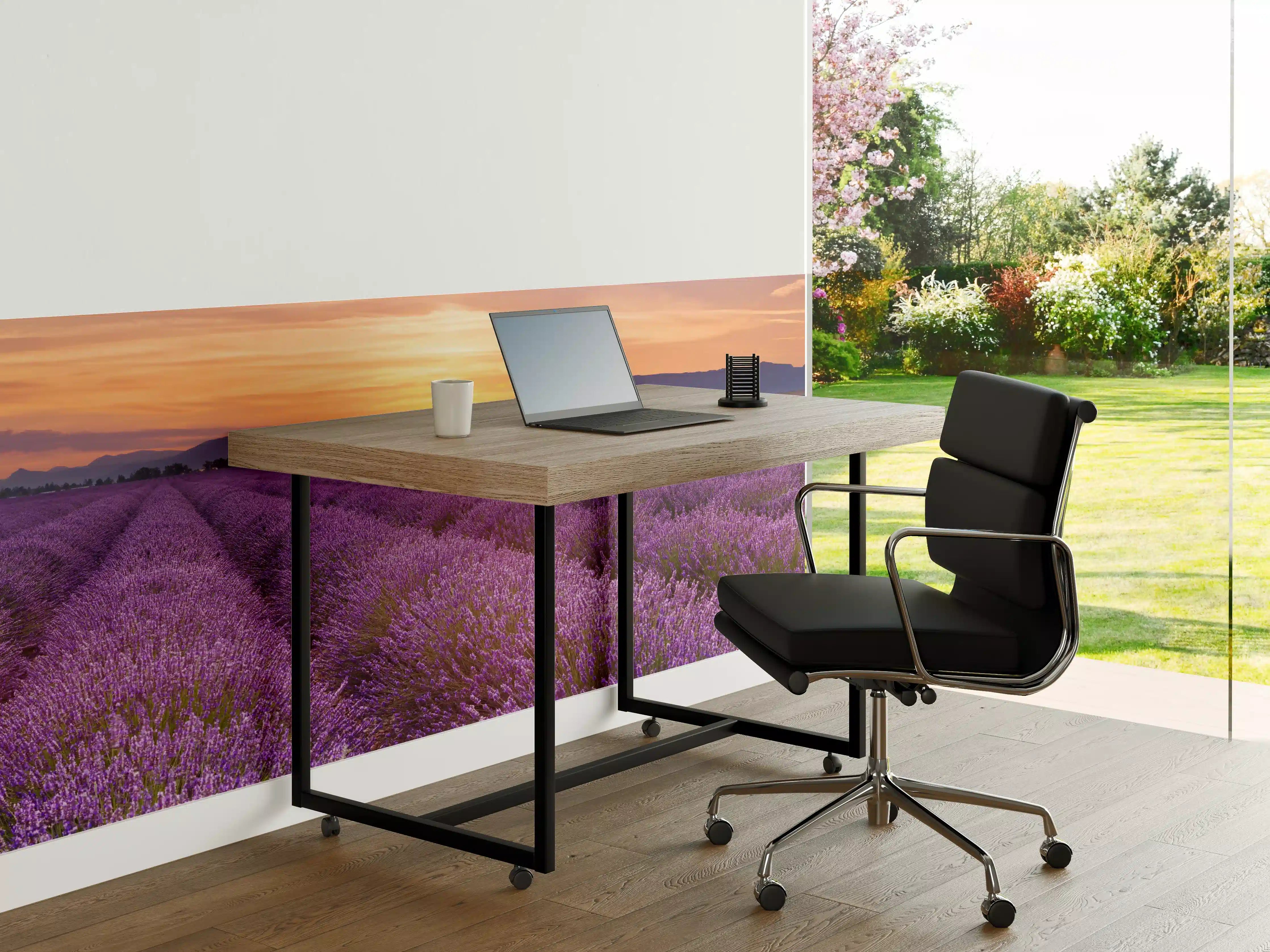 Büro Wandgestaltung - Sonnenaufgang über Lavendelfelder - Provence