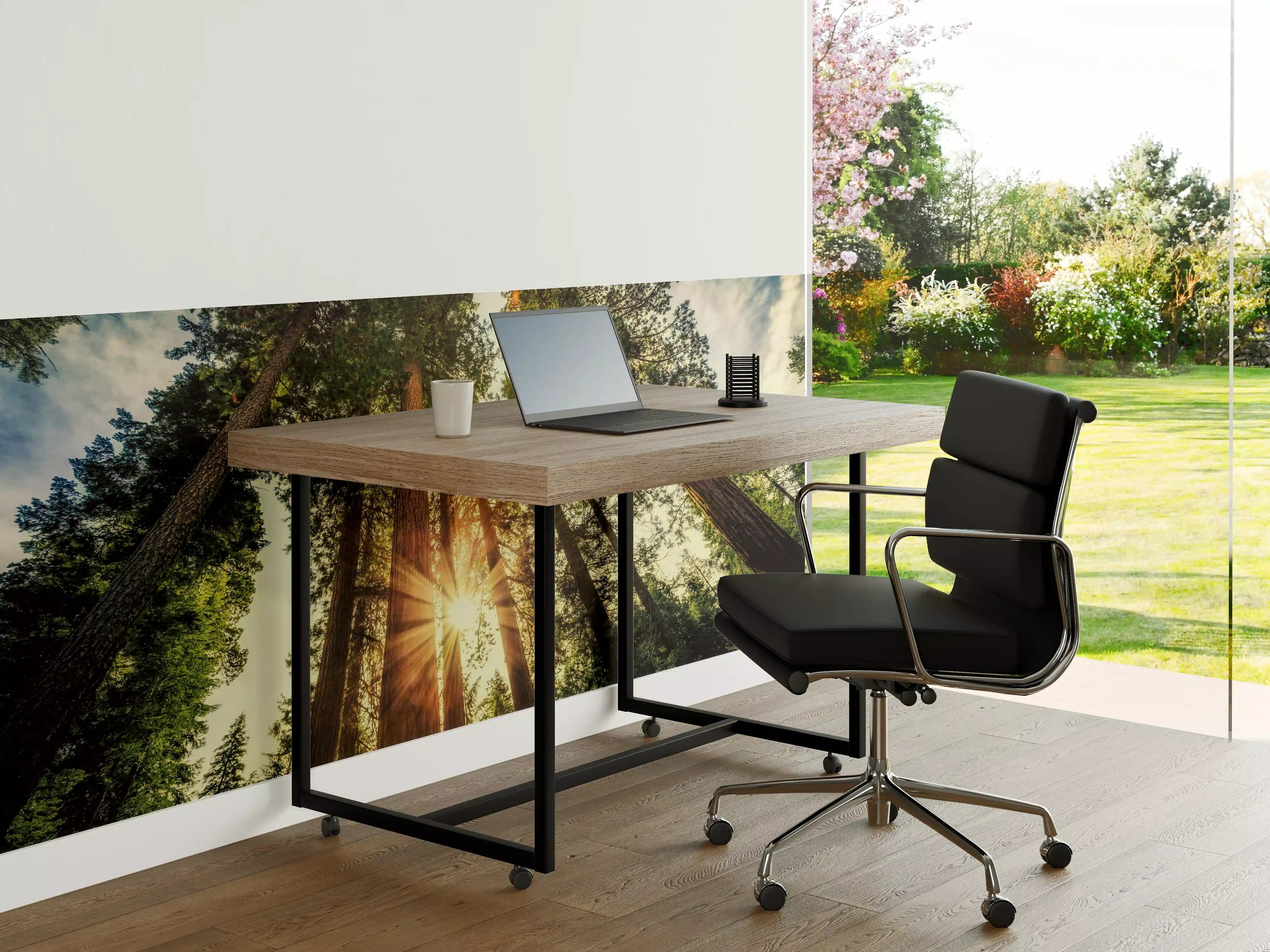 Büro Wandgestaltung - Sonnenaufgang über Mammutbäumen