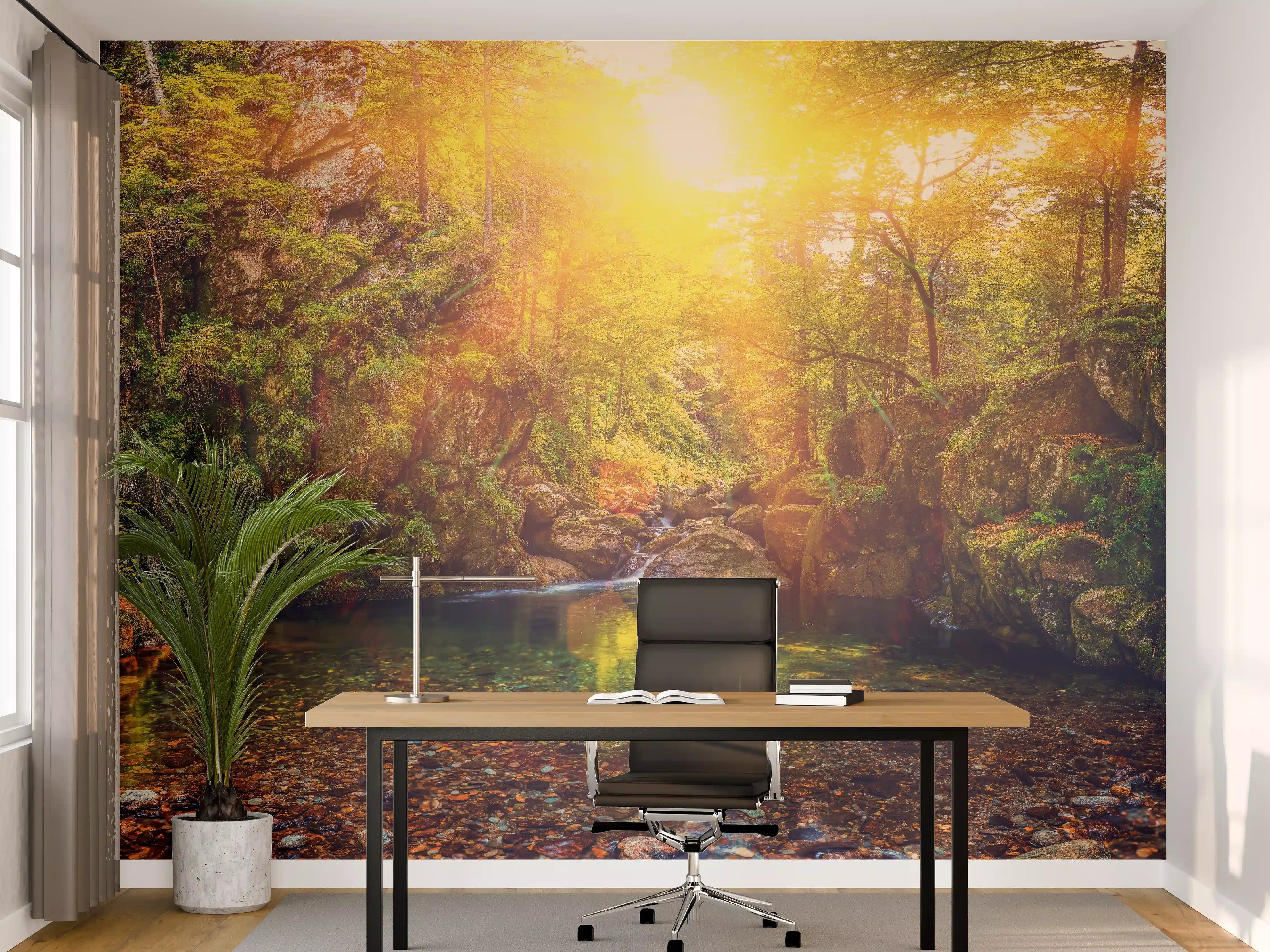 Büro Wandgestaltung - Sonnenbeschienener Waldsee