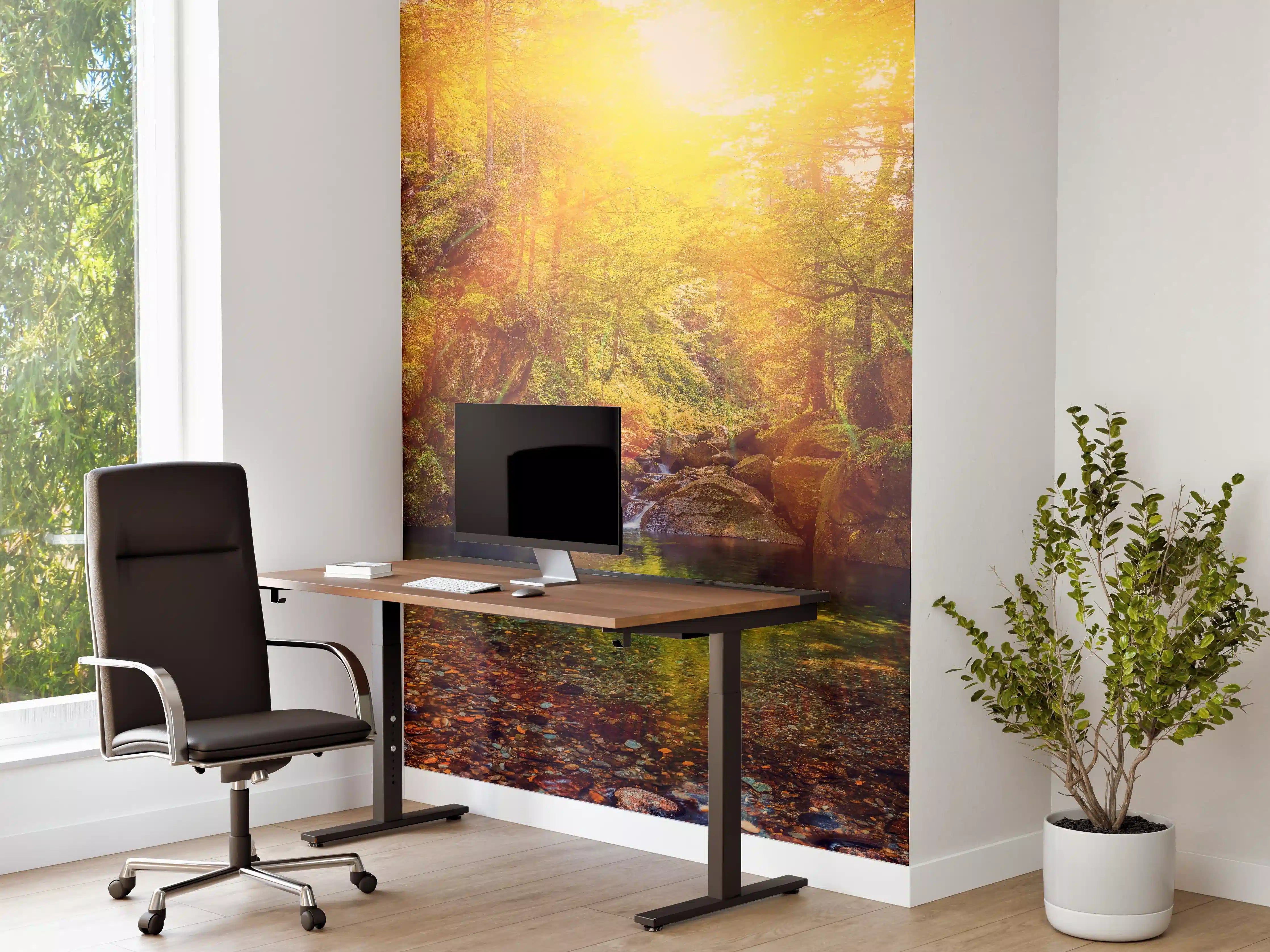 Büro Wandgestaltung - Sonnenbeschienener Waldsee