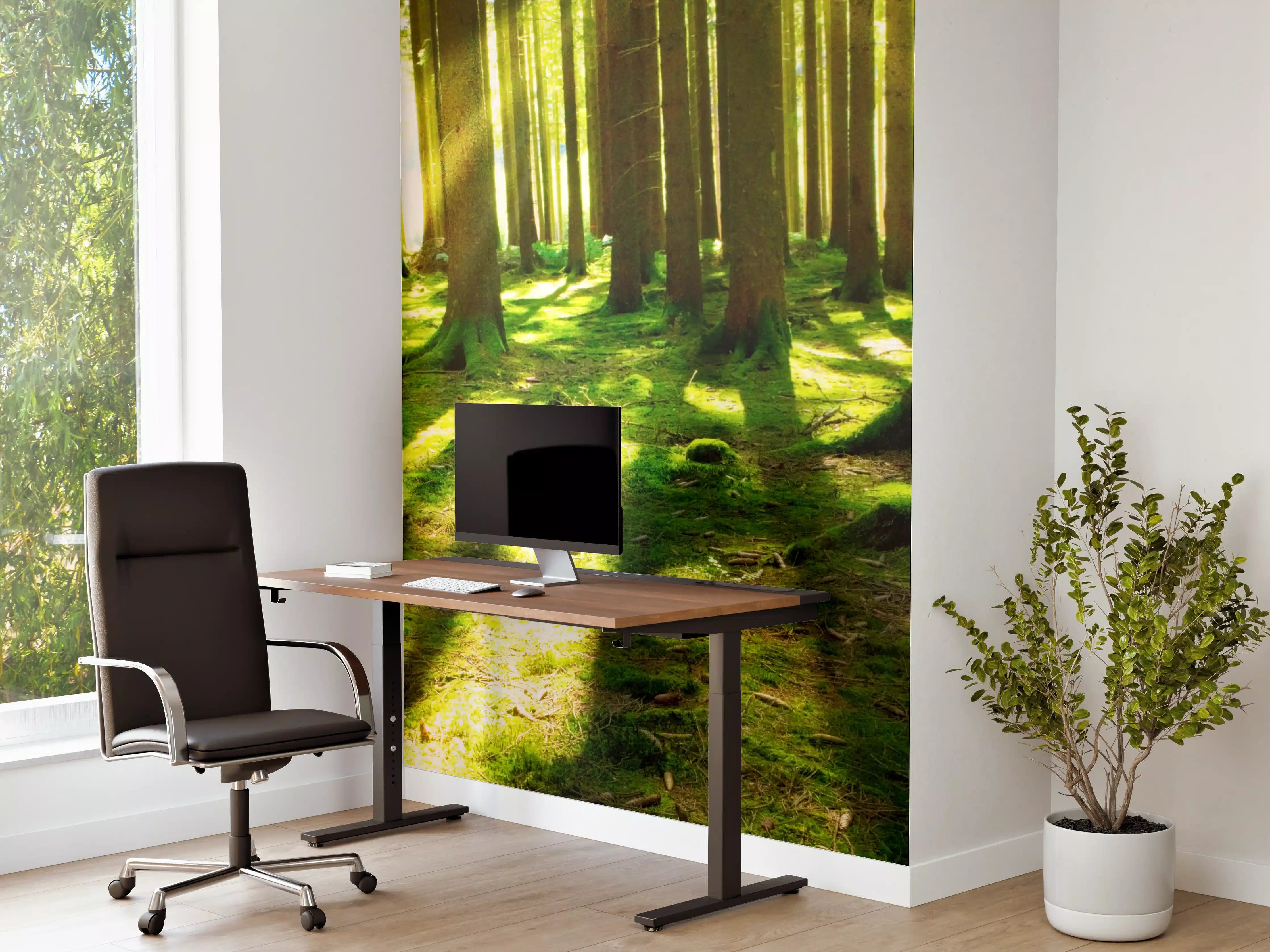 Büro Wandgestaltung - Sonnendurchfluteter Wald mit Schatten
