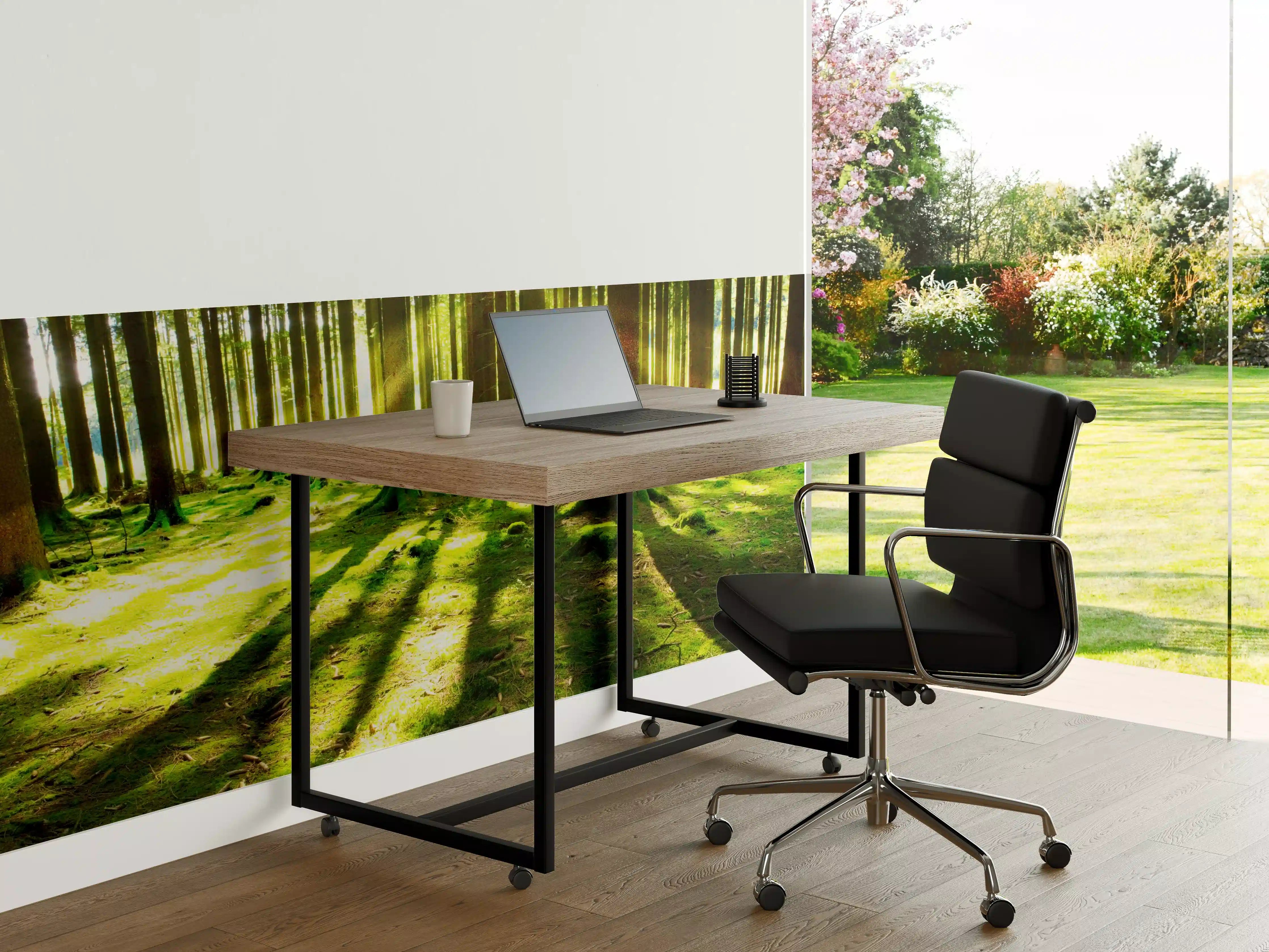 Büro Wandgestaltung - Sonnendurchfluteter Wald mit Schatten