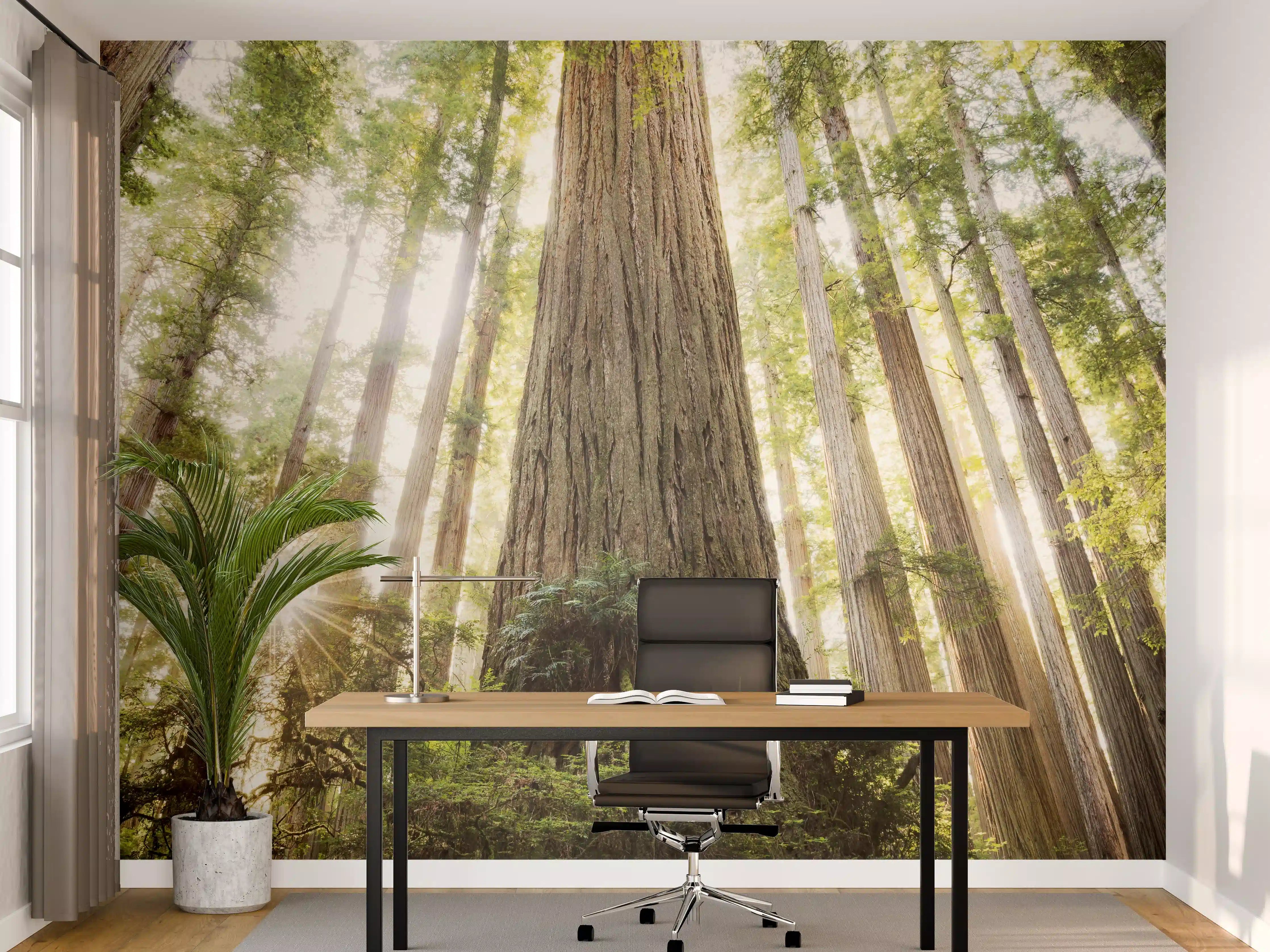Büro Wandgestaltung - Sonnenstrahlen im Grünen Wald