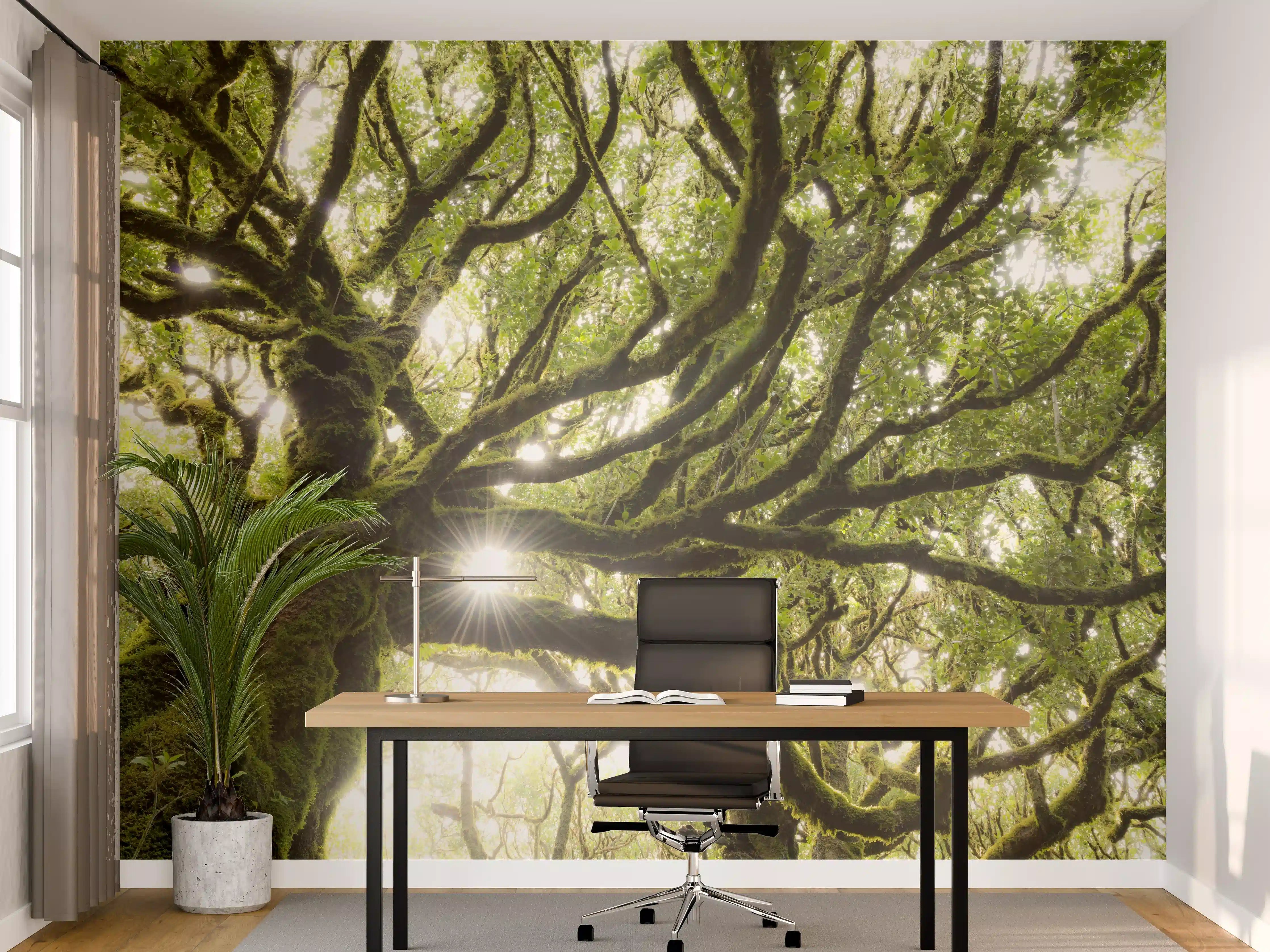 Büro Wandgestaltung - Sonnenstrahlen im Wald