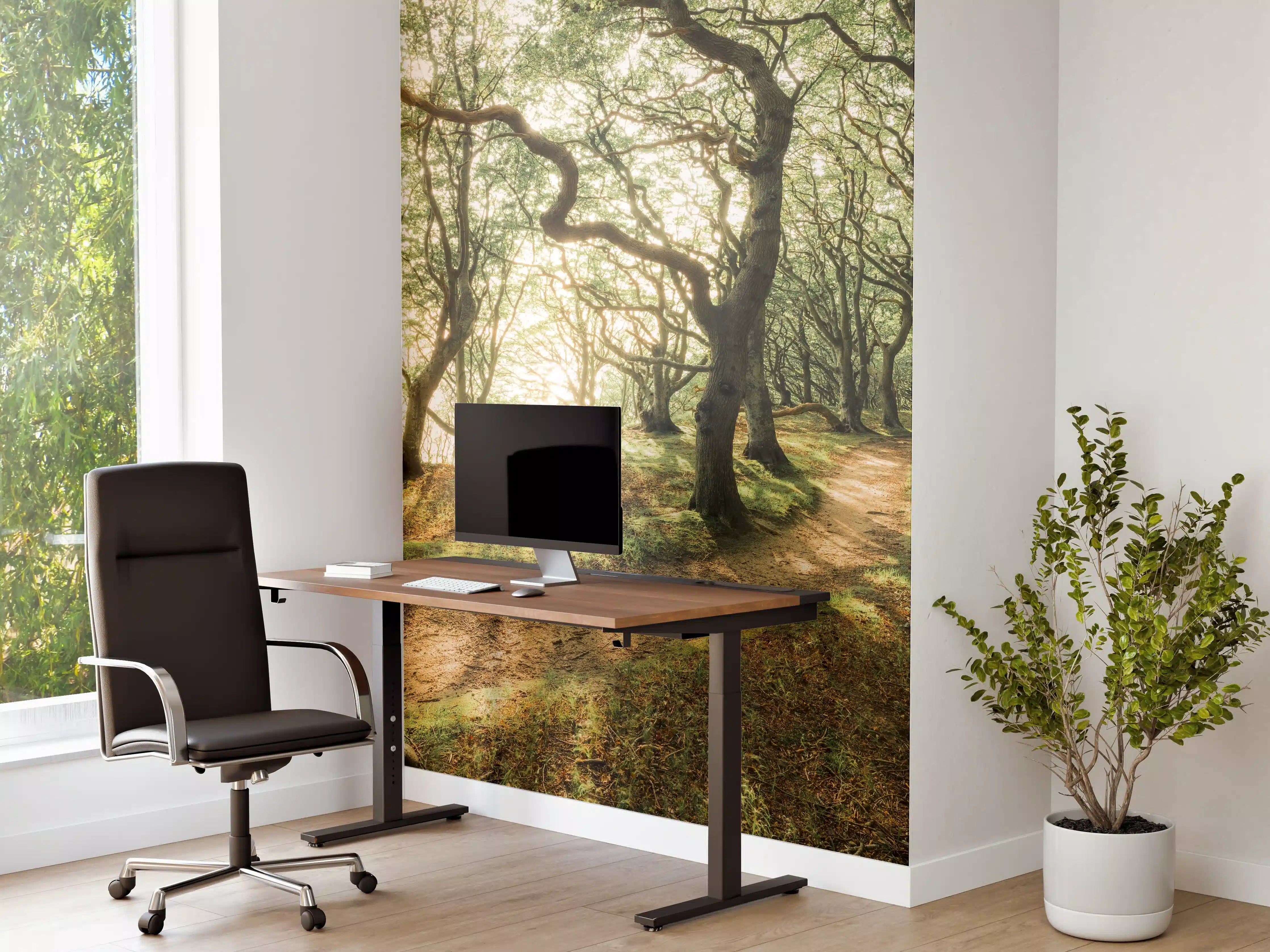 Büro Wandgestaltung - Sonnenstrahlen im Waldweg