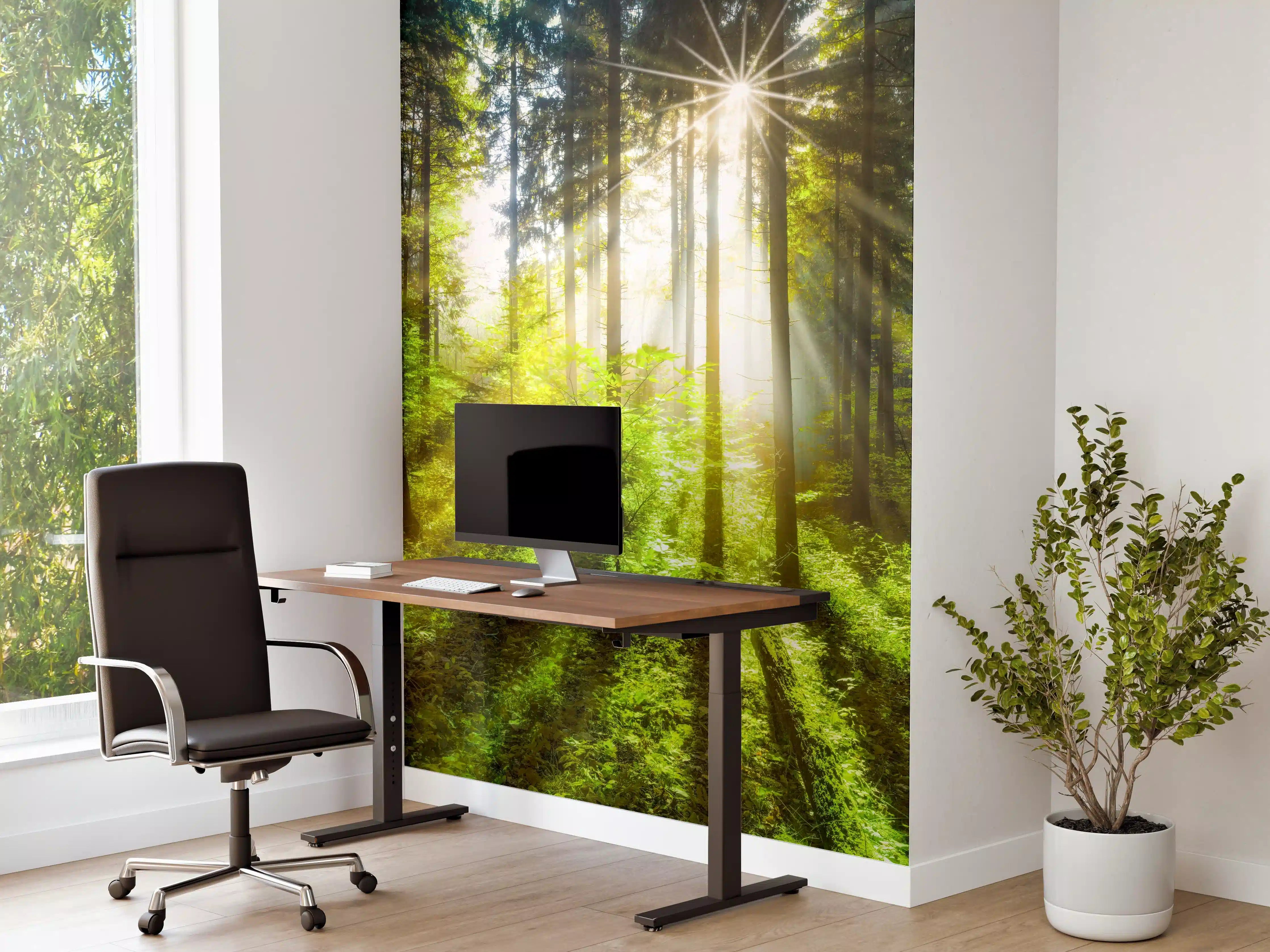 Büro Wandgestaltung - Sonnenstrahlen im lebendigem Wald