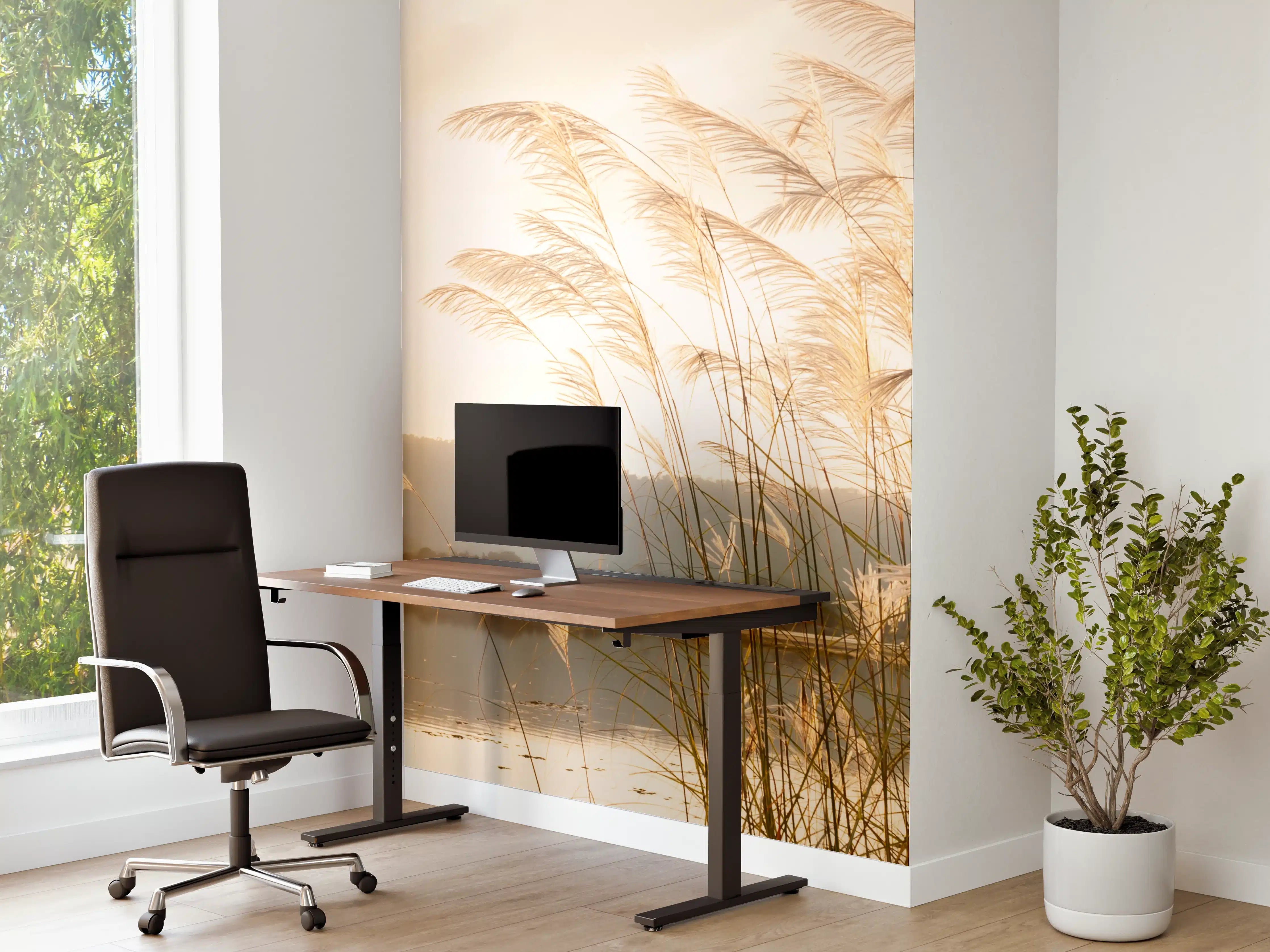Büro Wandgestaltung - Sonnenuntergang am Wasser mit Gräsern
