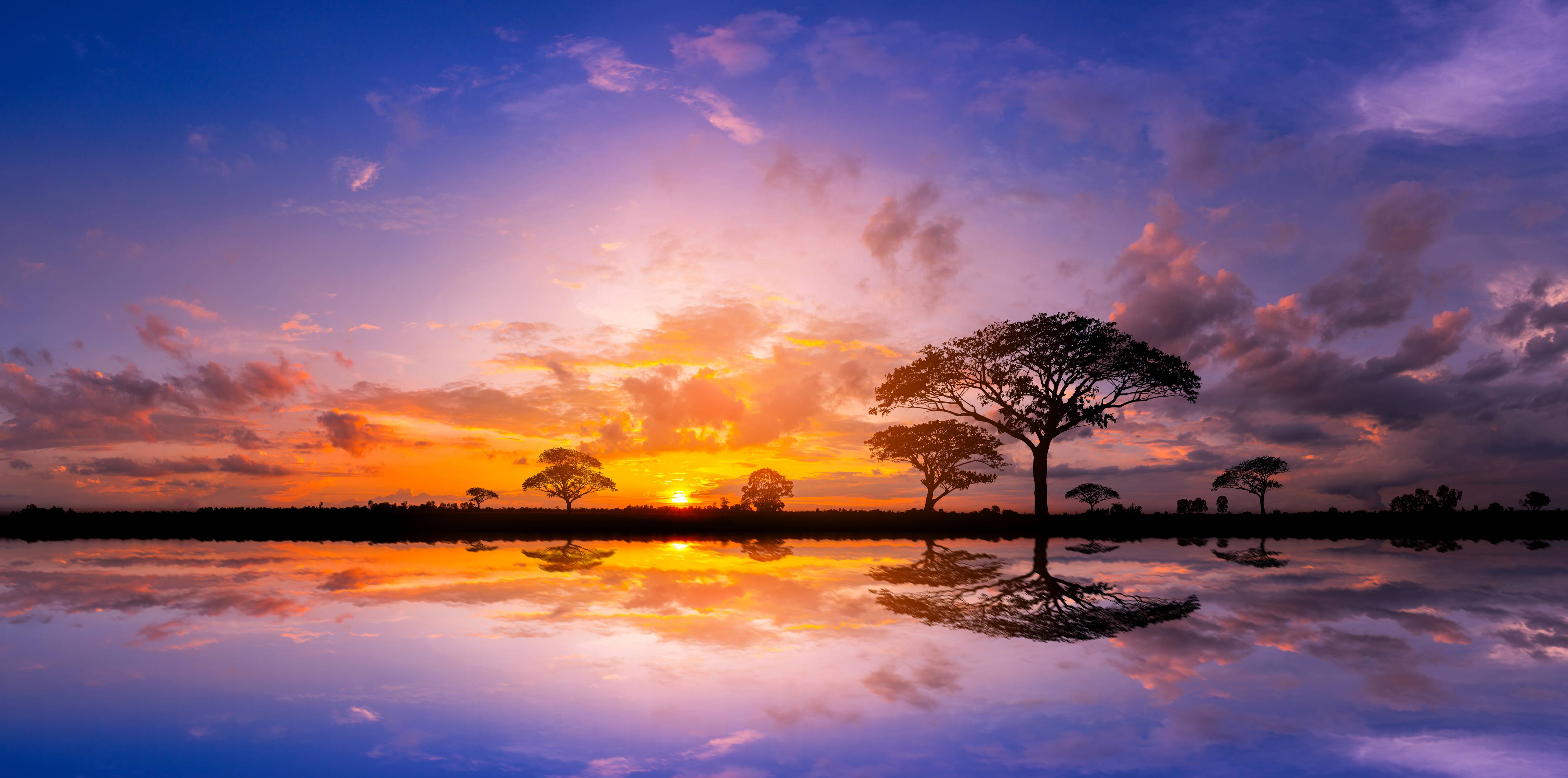 Büro Wandgestaltung-Sonnenuntergang in Afrika