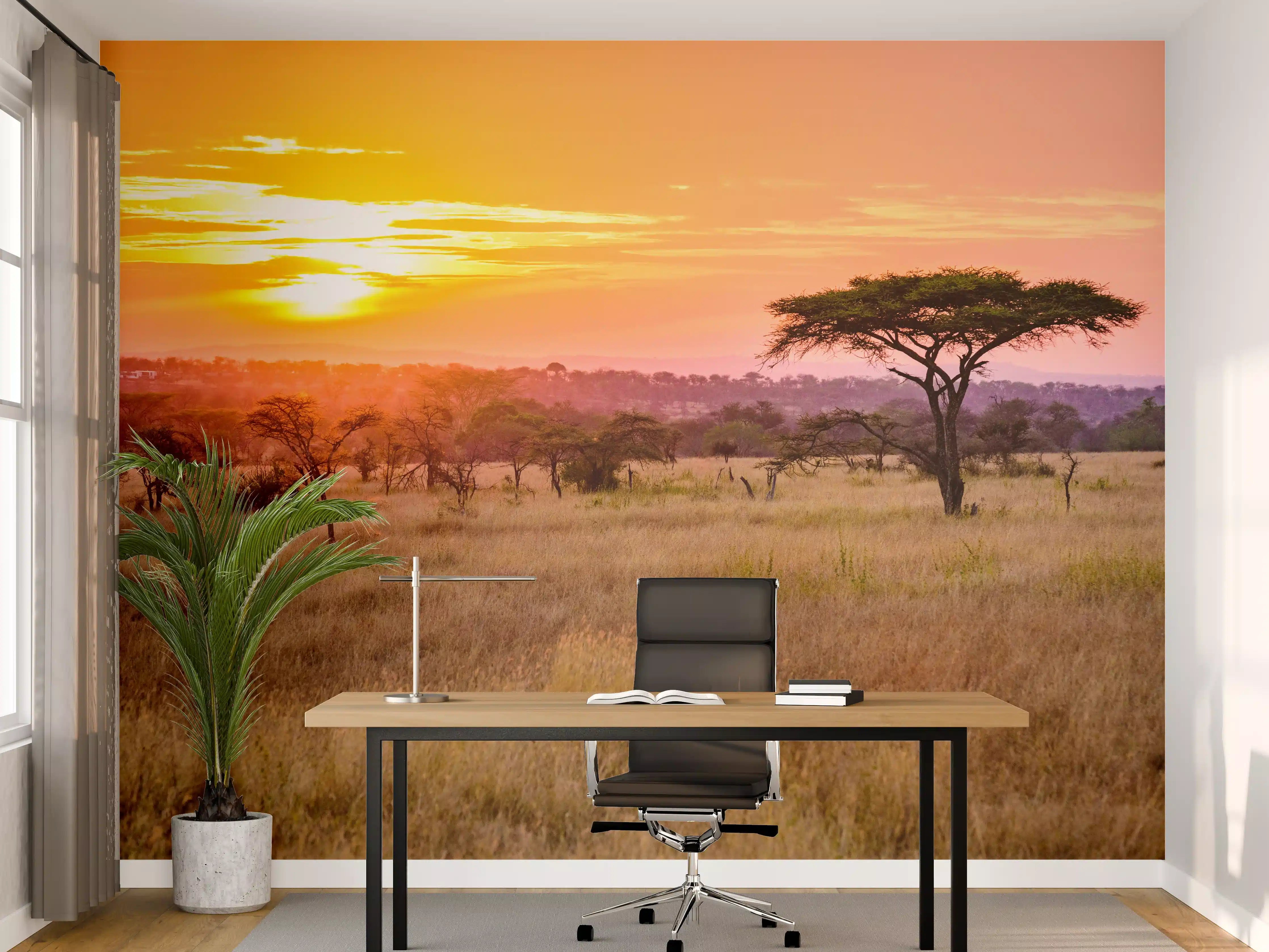 Büro Wandgestaltung - Sonnenuntergang in der Savanne Afrikas