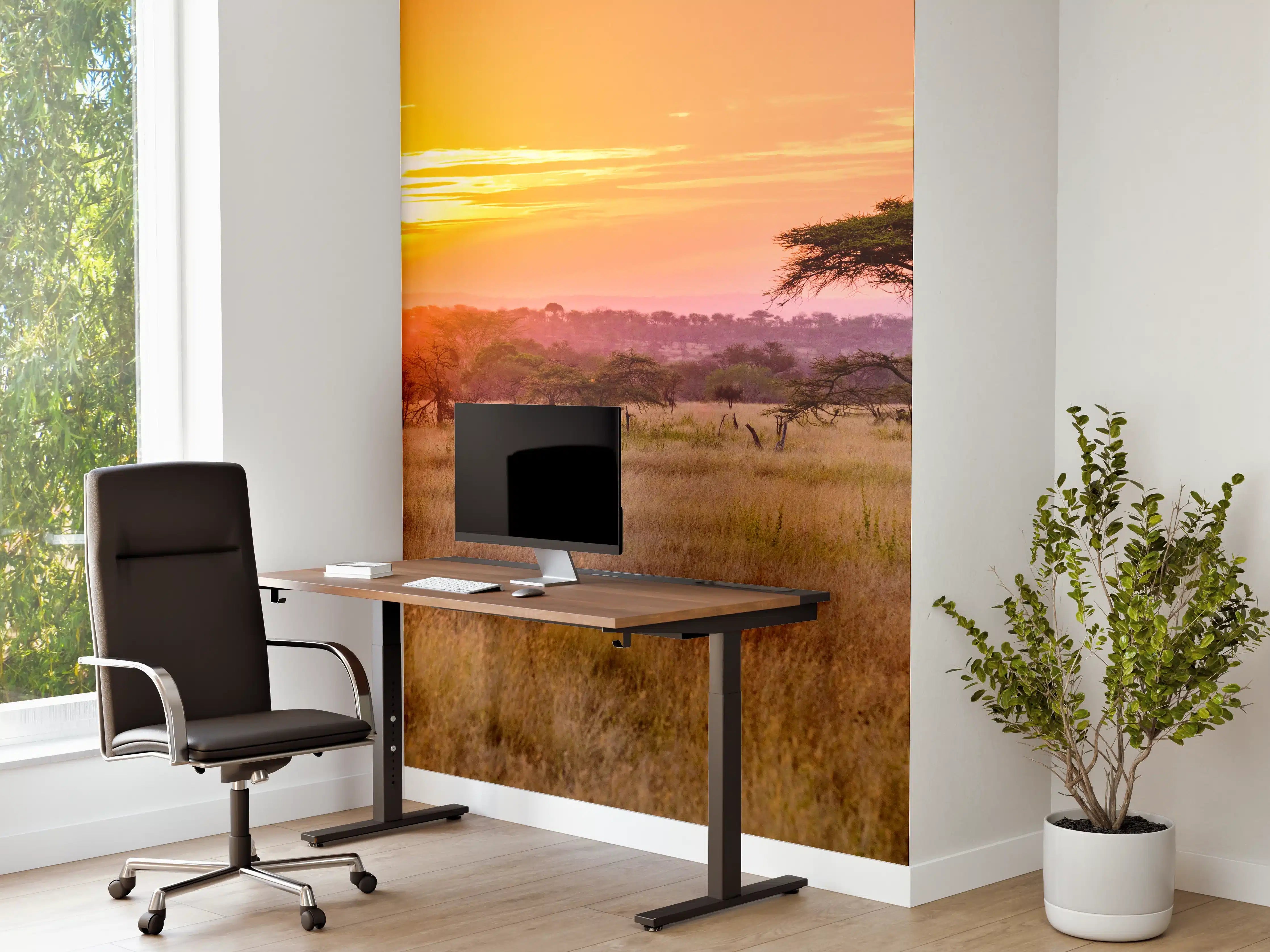 Büro Wandgestaltung - Sonnenuntergang in der Savanne Afrikas