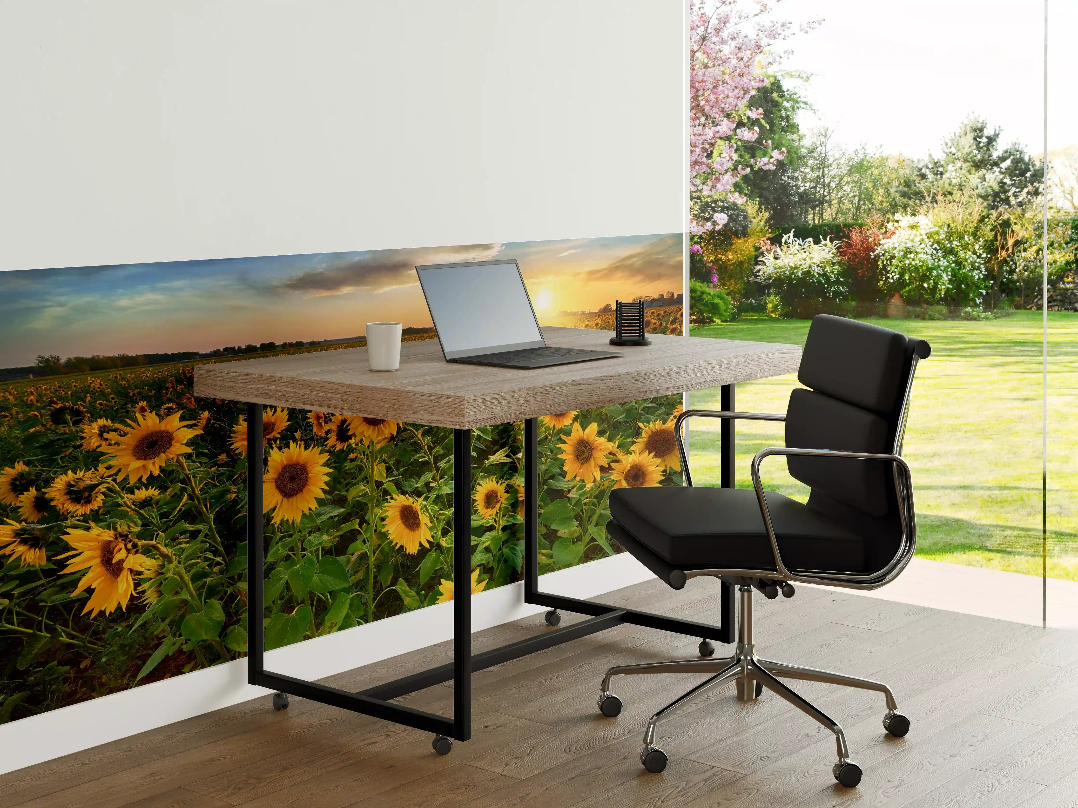 Büro Wandgestaltung - Sonnenuntergang über Sonnenblumenfeld in Hessen