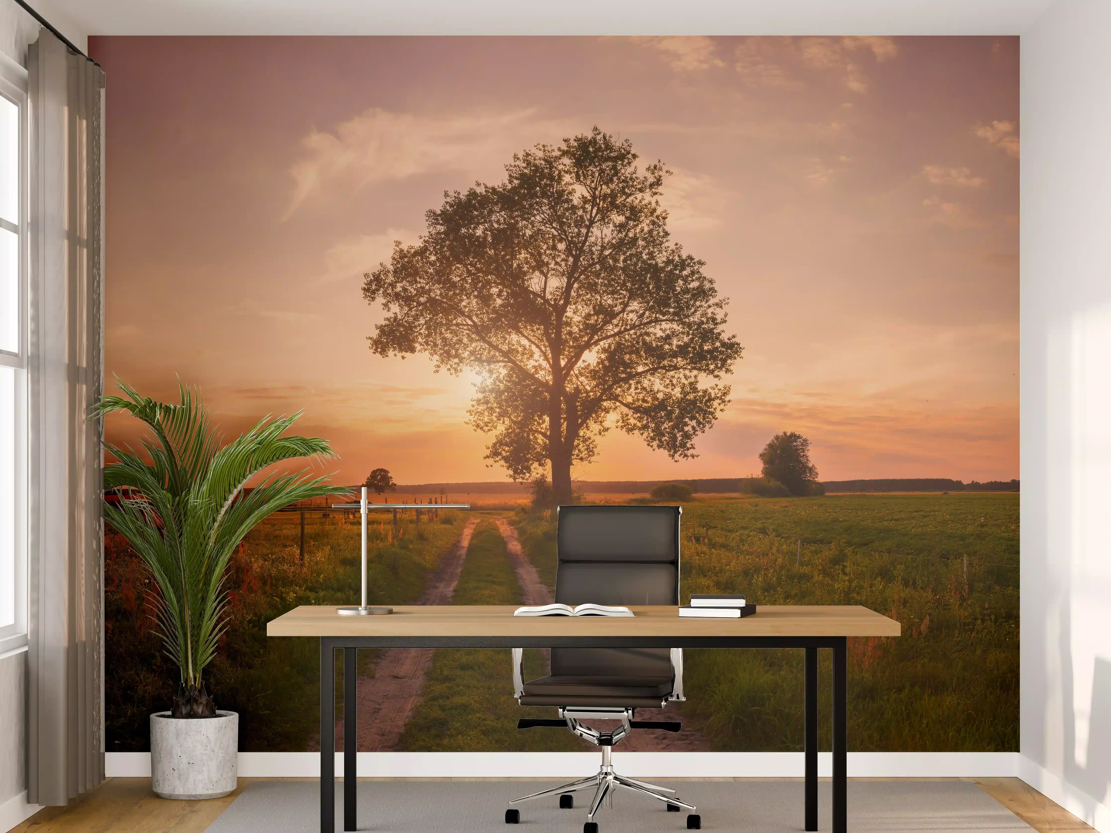 Büro Wandgestaltung - Sonnenuntergang über der ländlichen Landschaft