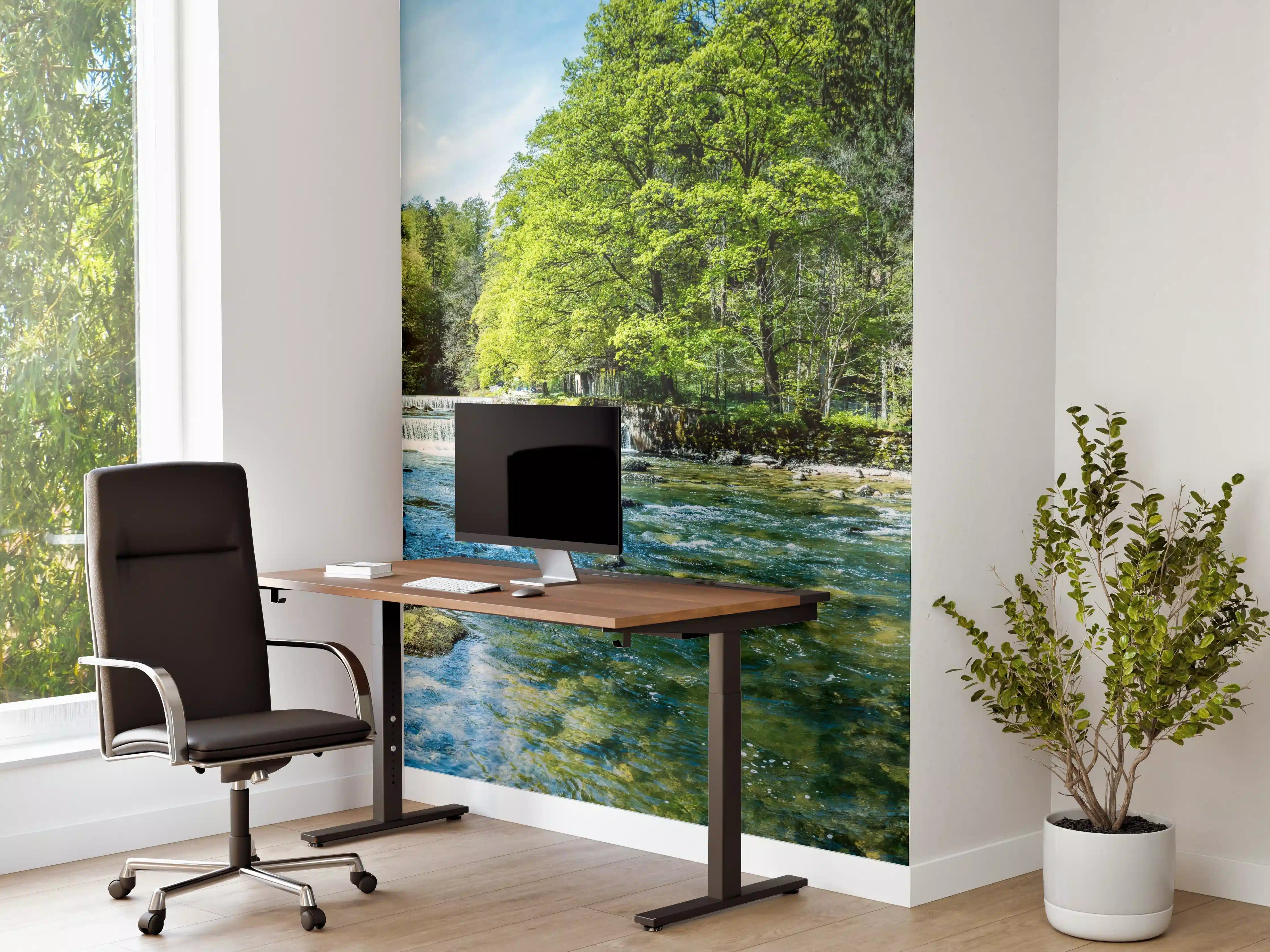 Büro Wandgestaltung - Sonnige Flusslandschaft in der Schweiz