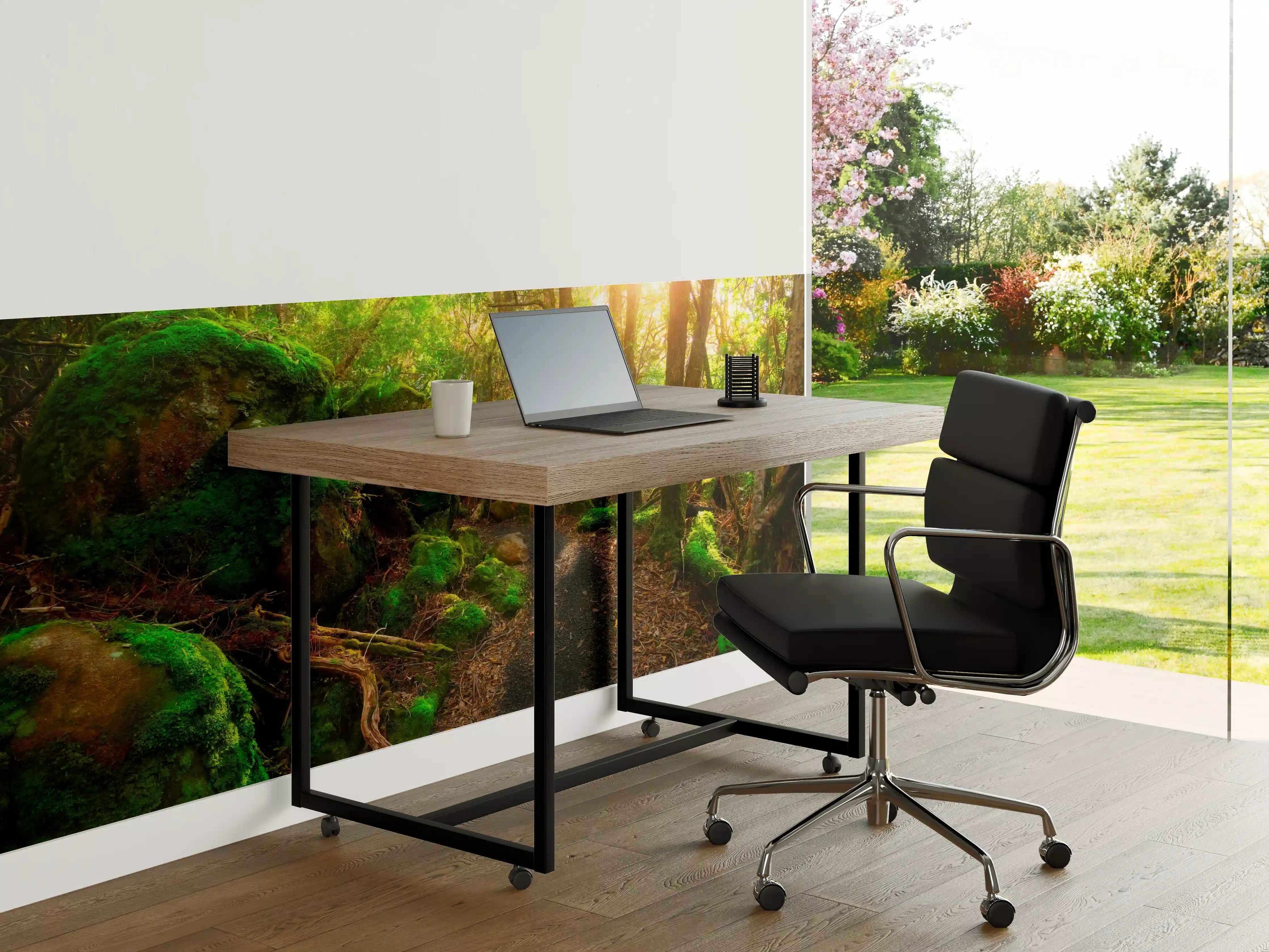 Büro Wandgestaltung - Sonniger Wald in Tasmanien