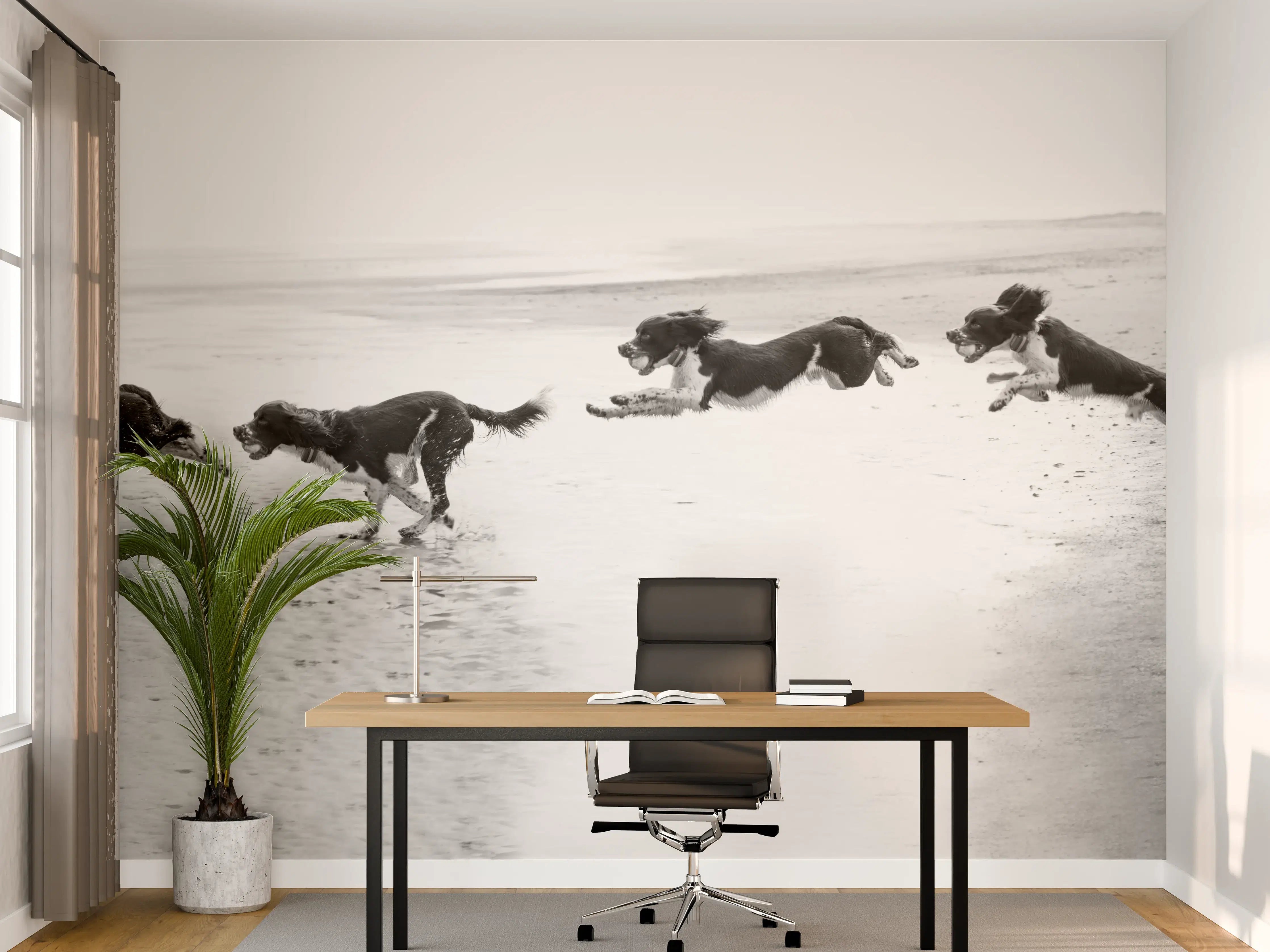 Büro Wandgestaltung - Springer Spaniel beim springen
