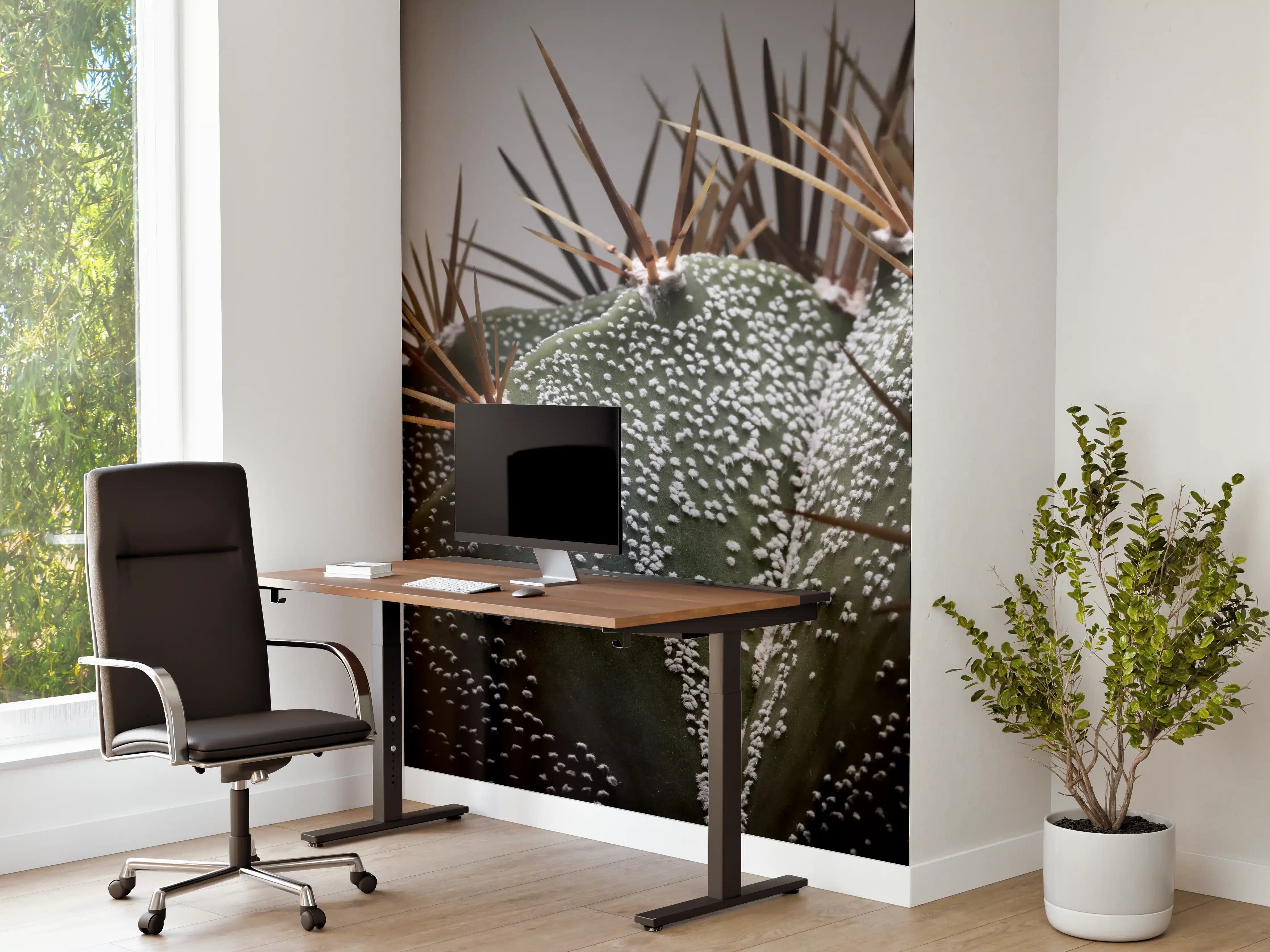 Büro Wandgestaltung - Stacheliger Sternenkaktus