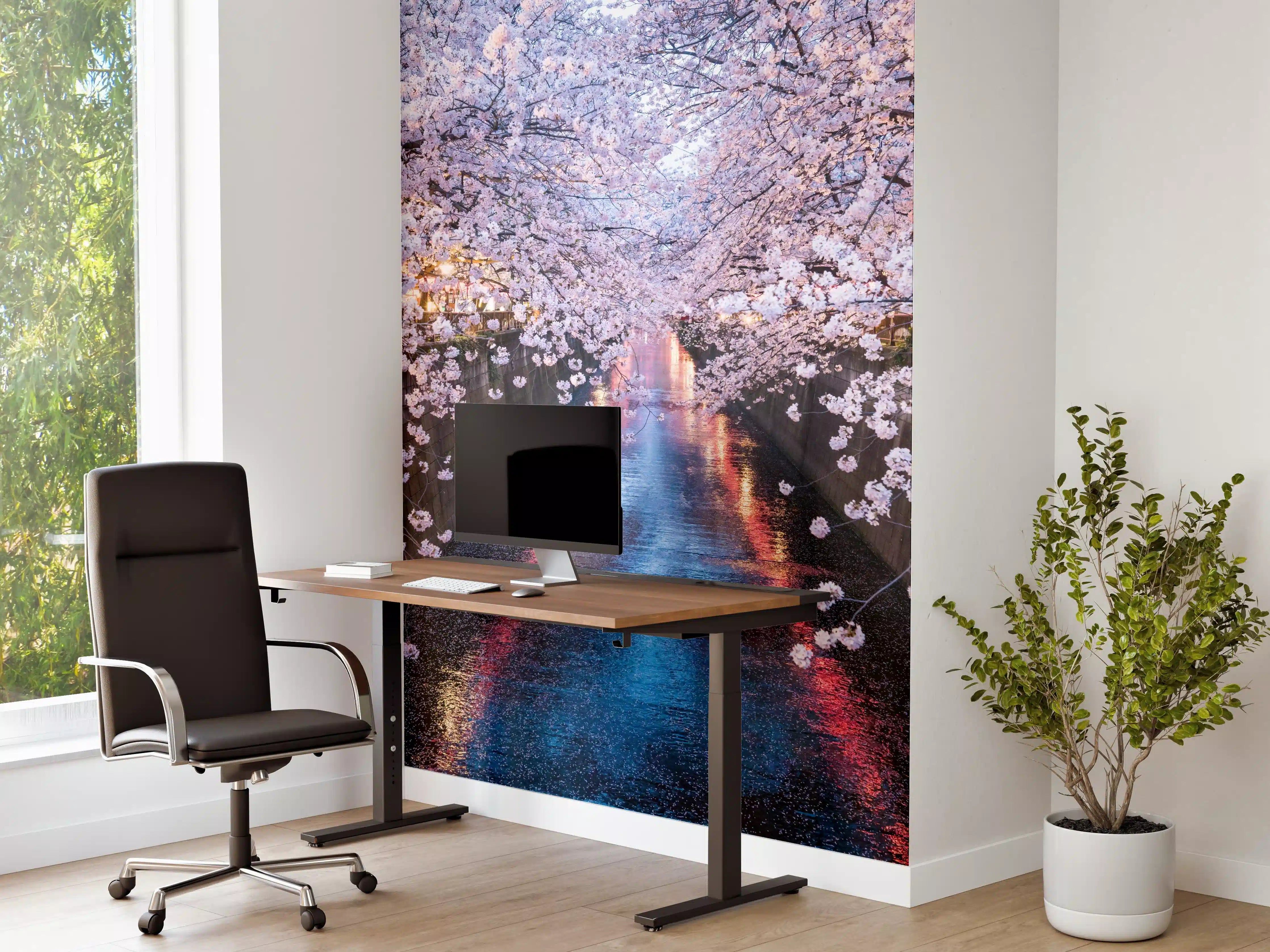 Büro Wandgestaltung - Stadtfluss mit Kirschblütenbäumen
