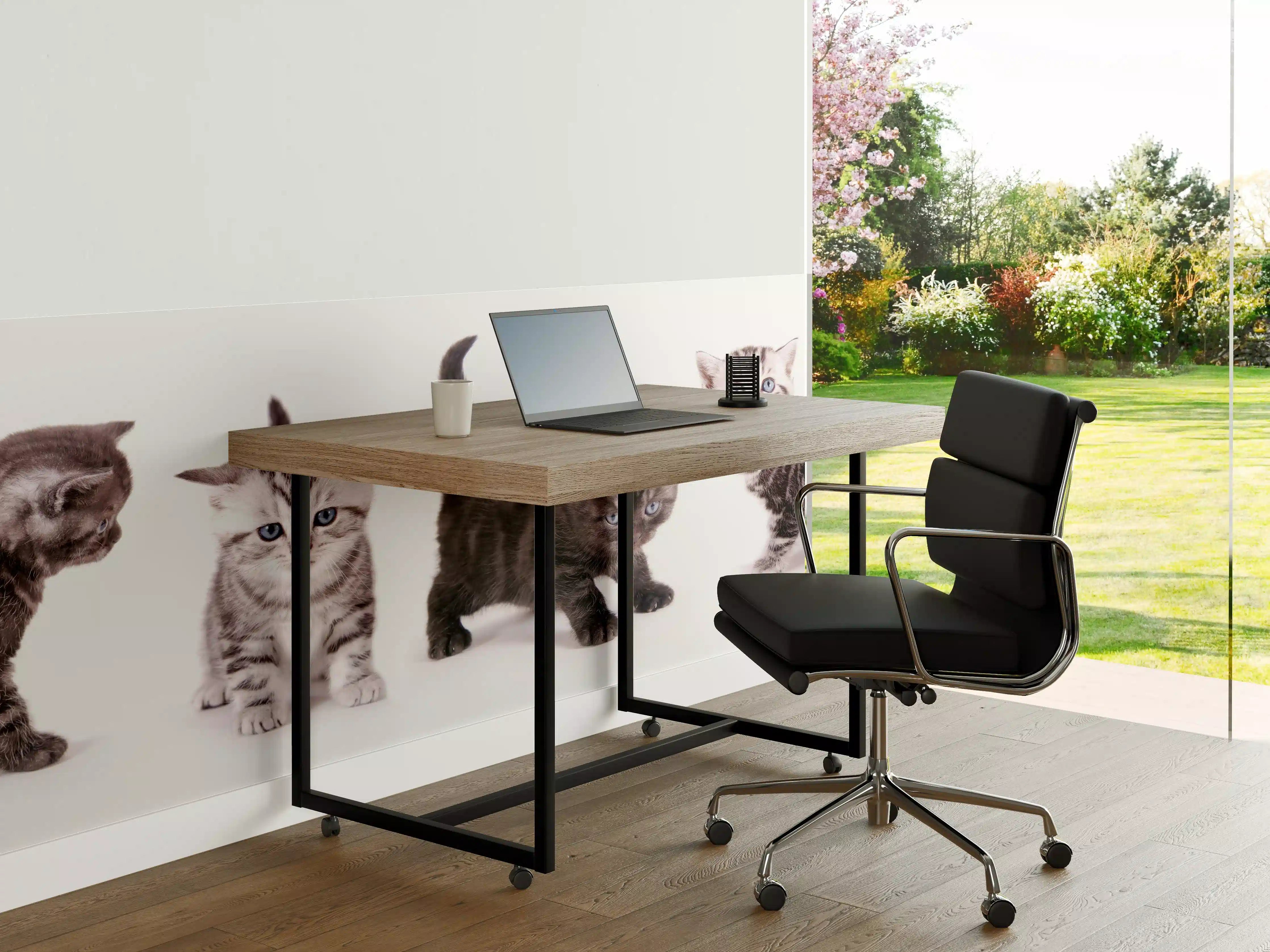 Büro Wandgestaltung - Süße Britisch Kurzhaar Kätzchen