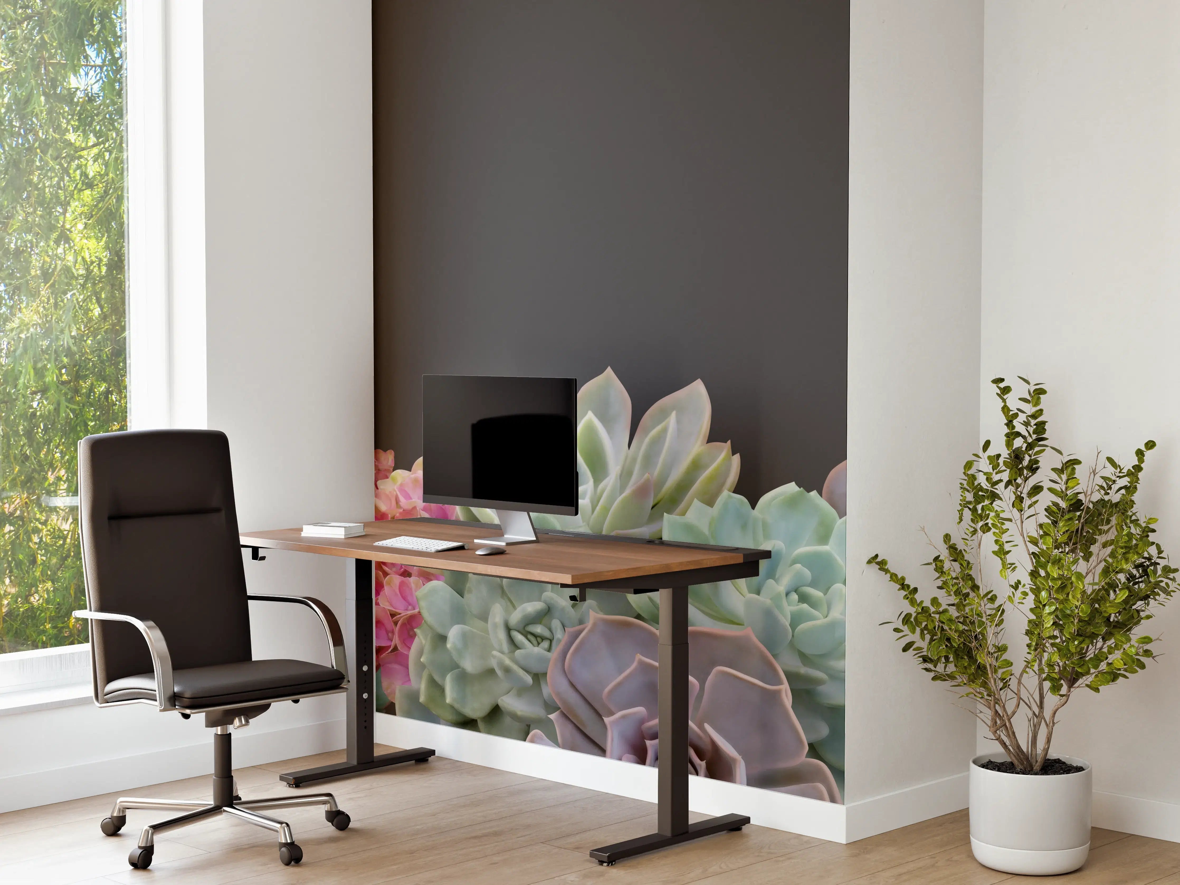 Büro Wandgestaltung - Sukkulente Blumen - Bunt