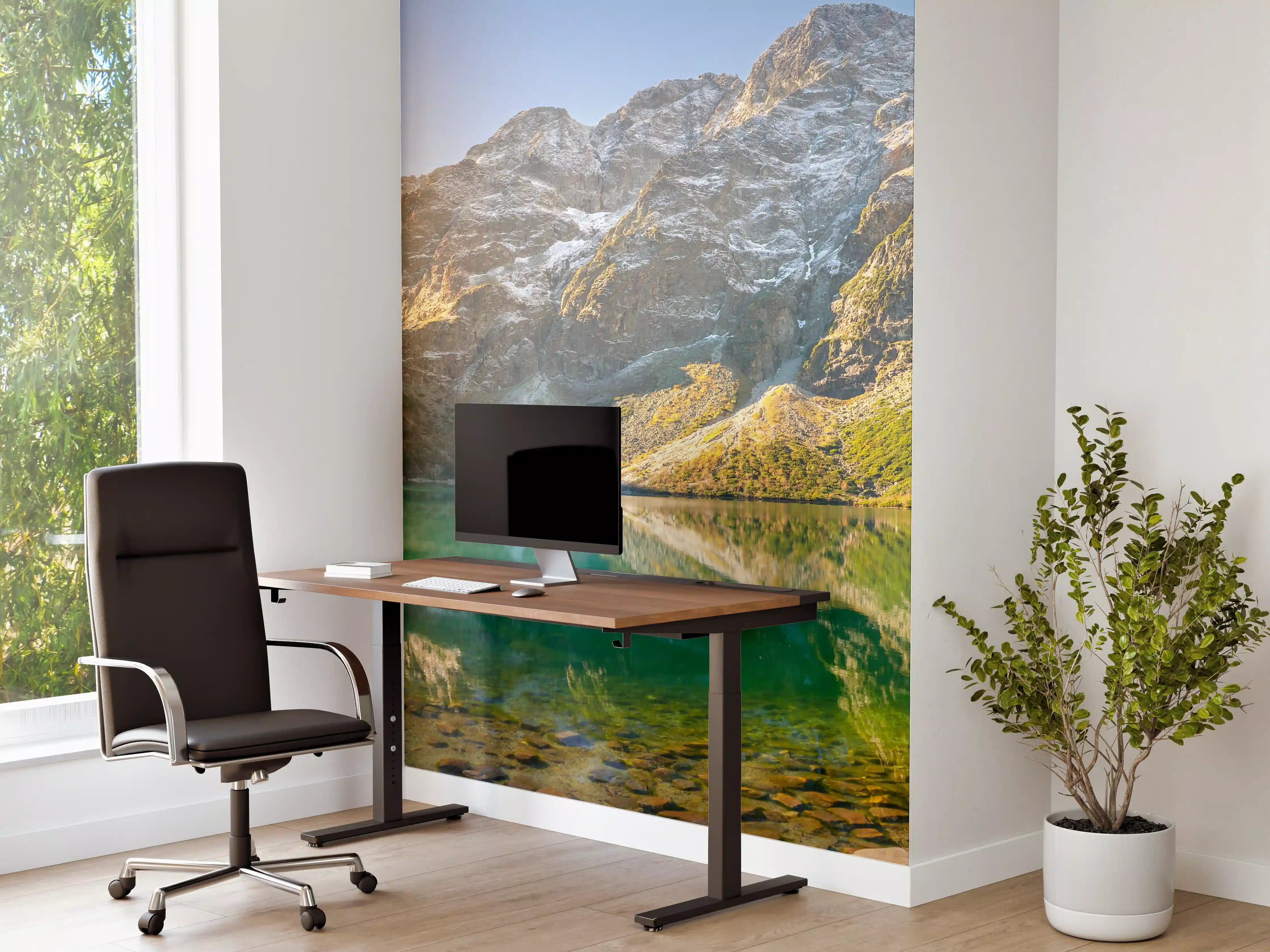 Büro Wandgestaltung - Tatra-Nationalpark