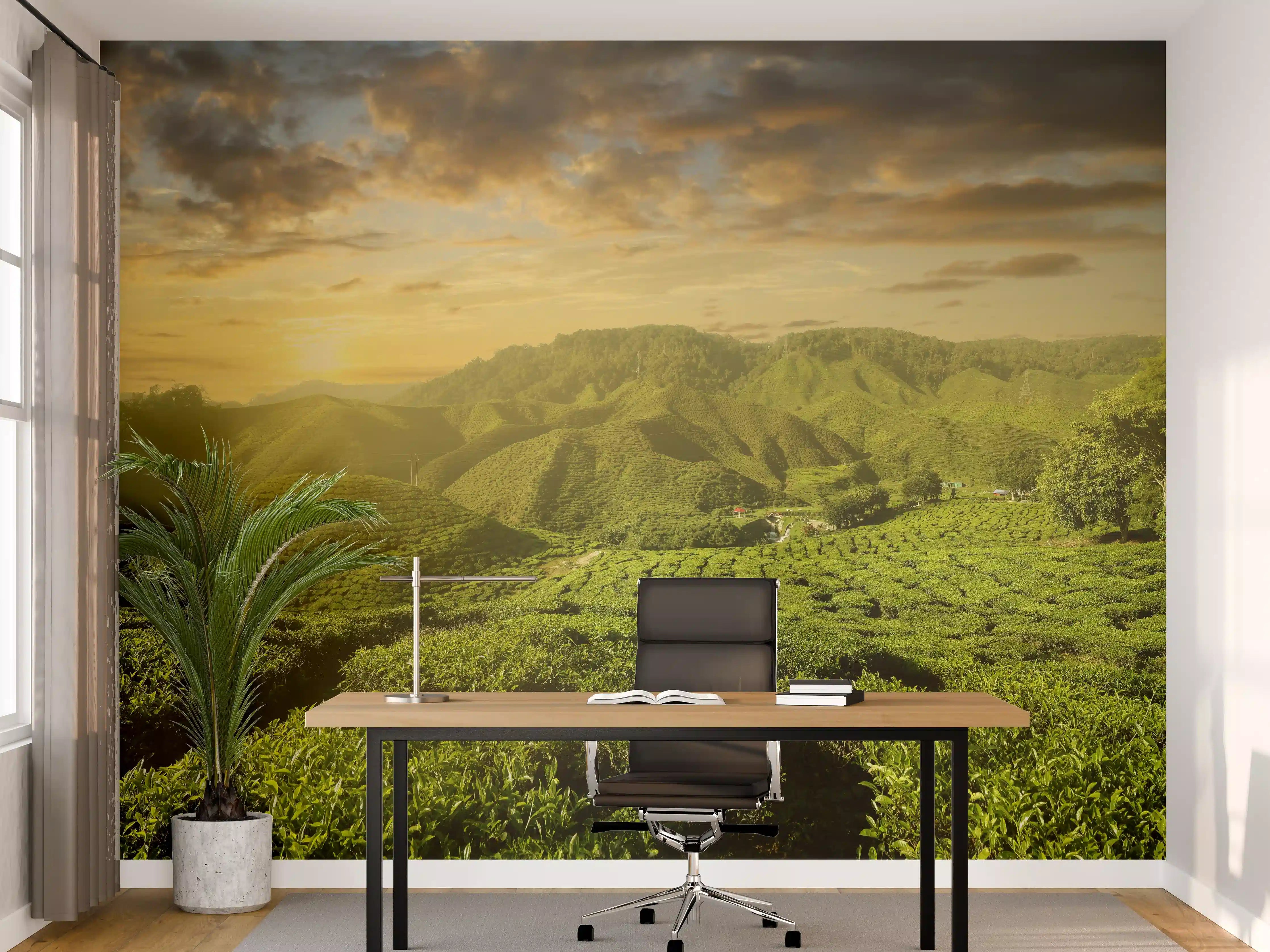 Büro Wandgestaltung - Teeplantage in Malaysia