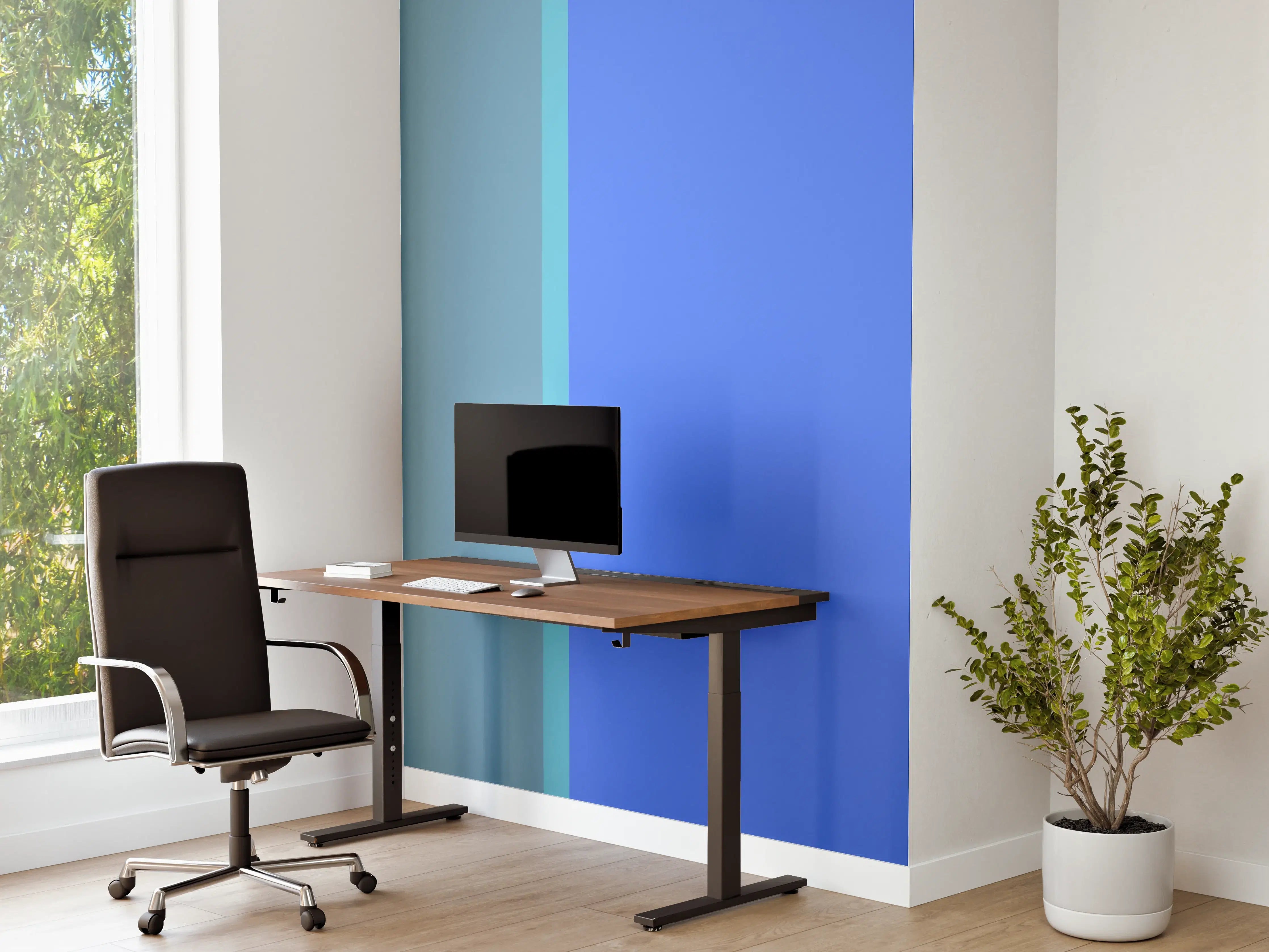 Büro Wandgestaltung - The Blues - Easy Vertical - Cornflower