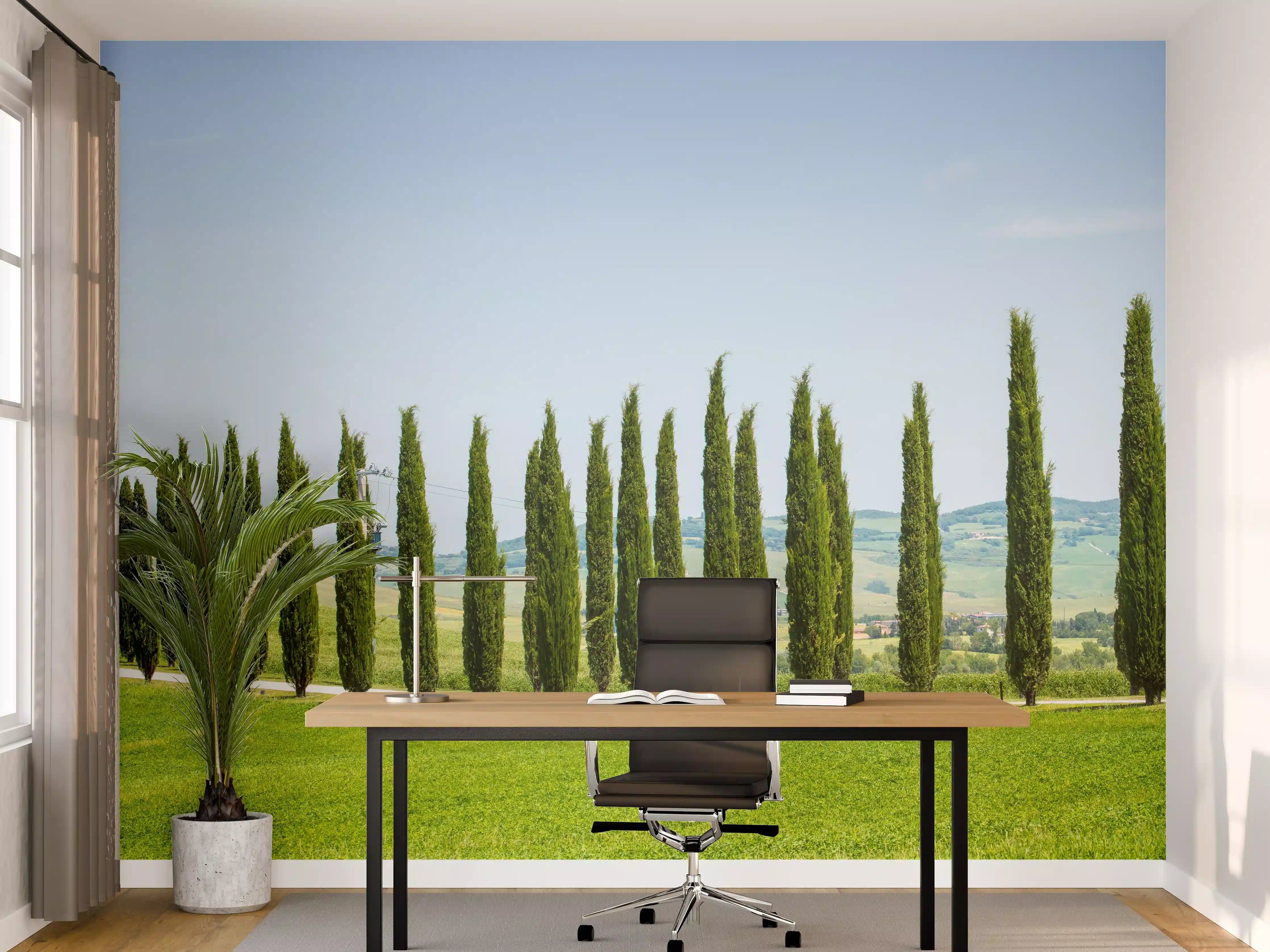 Büro Wandgestaltung - Toskanische Zypressenallee