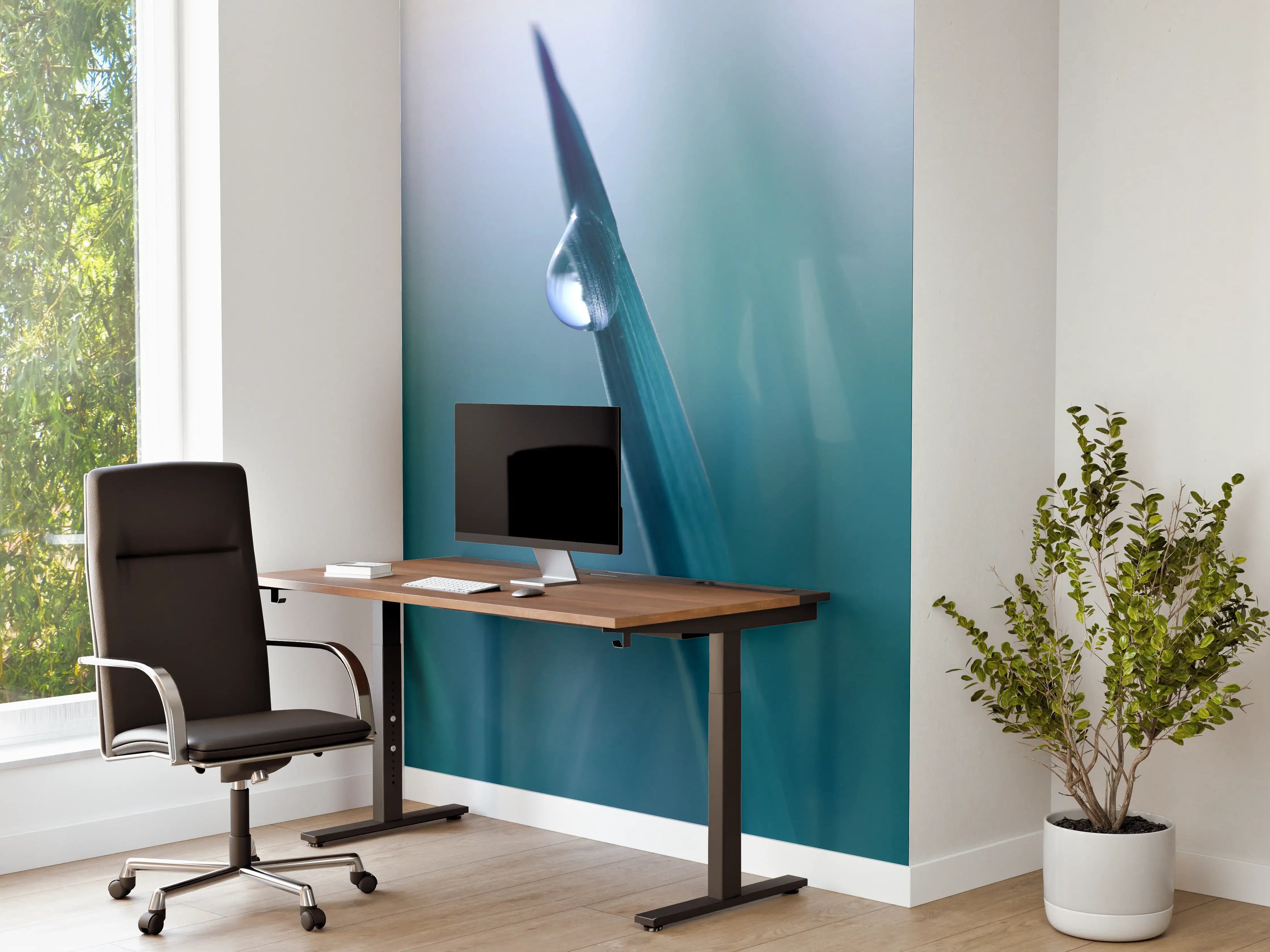 Büro Wandgestaltung - Transparente Tautropfen