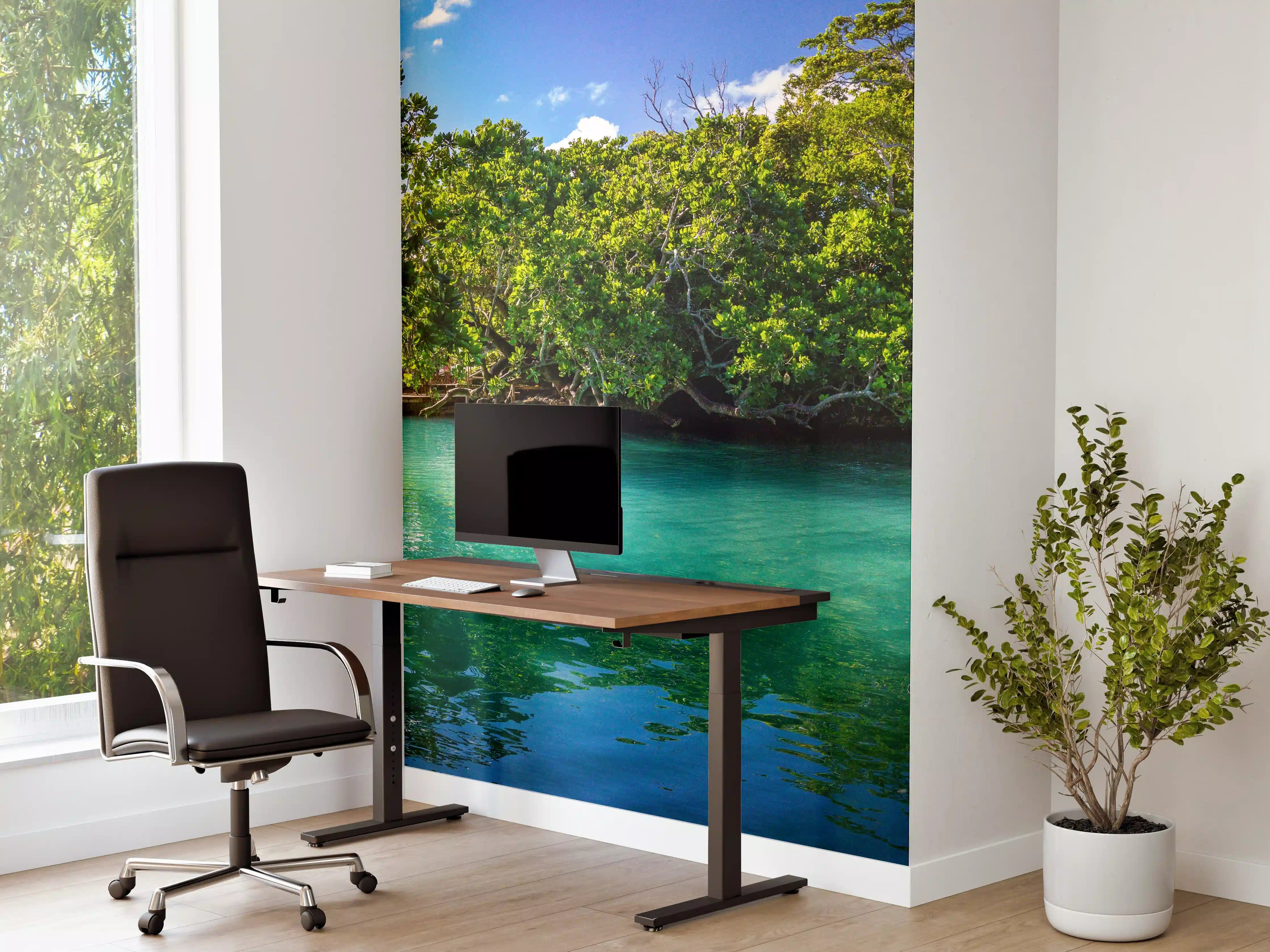Büro Wandgestaltung - Traumhafter See im Wald - Indonesien