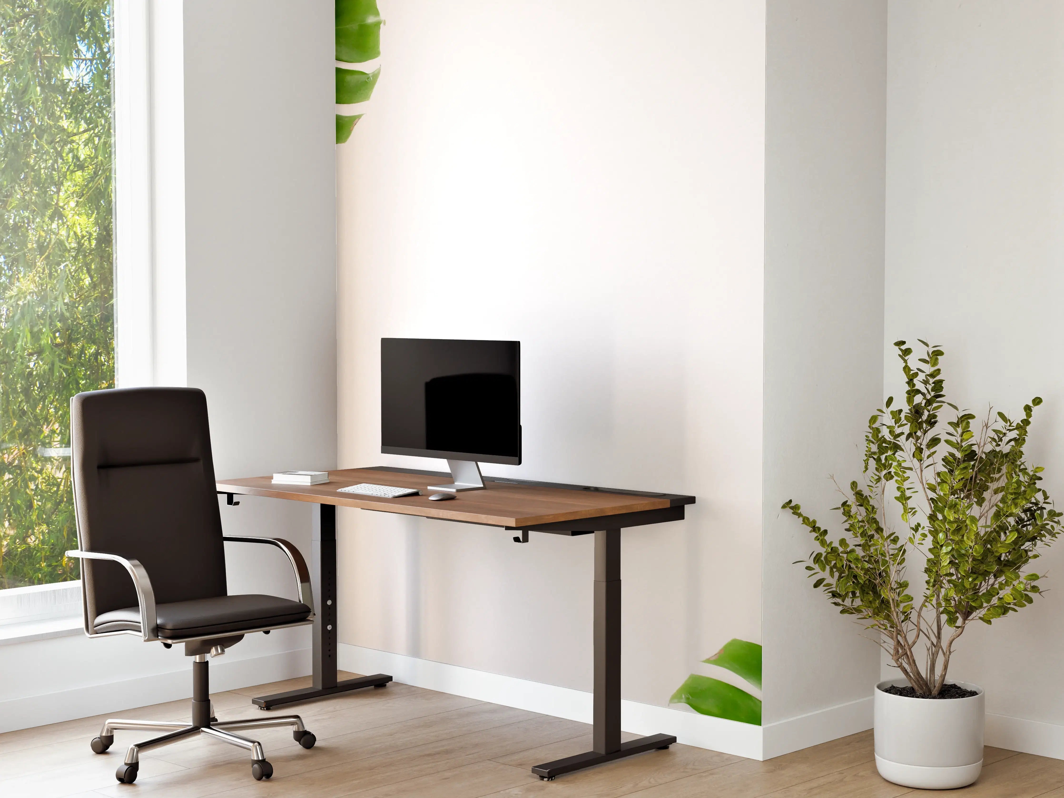 Büro Wandgestaltung - Tropische Palmenblätter auf weißem Hintergrund