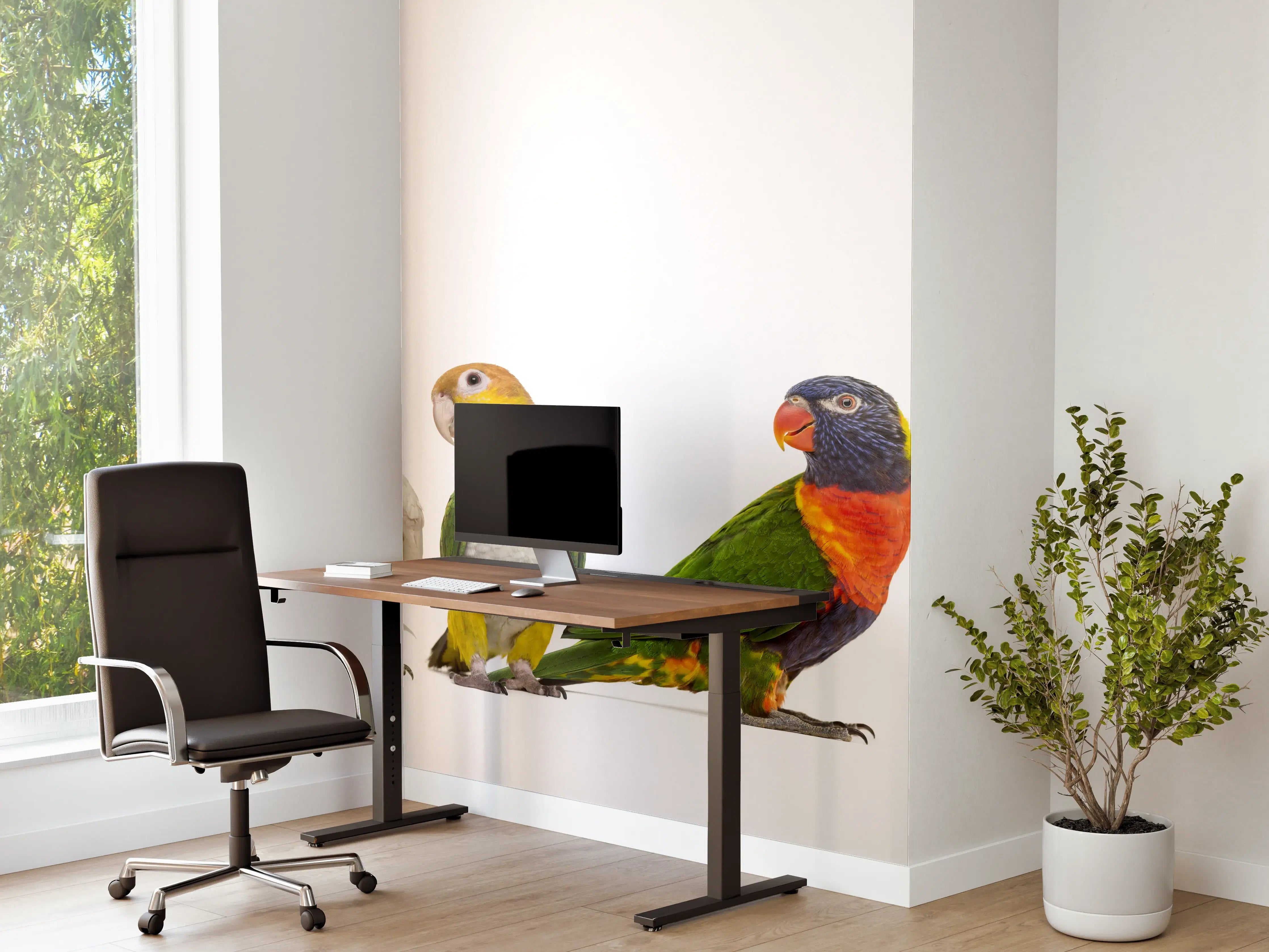 Büro Wandgestaltung - Tropische Papageien - Exotisch
