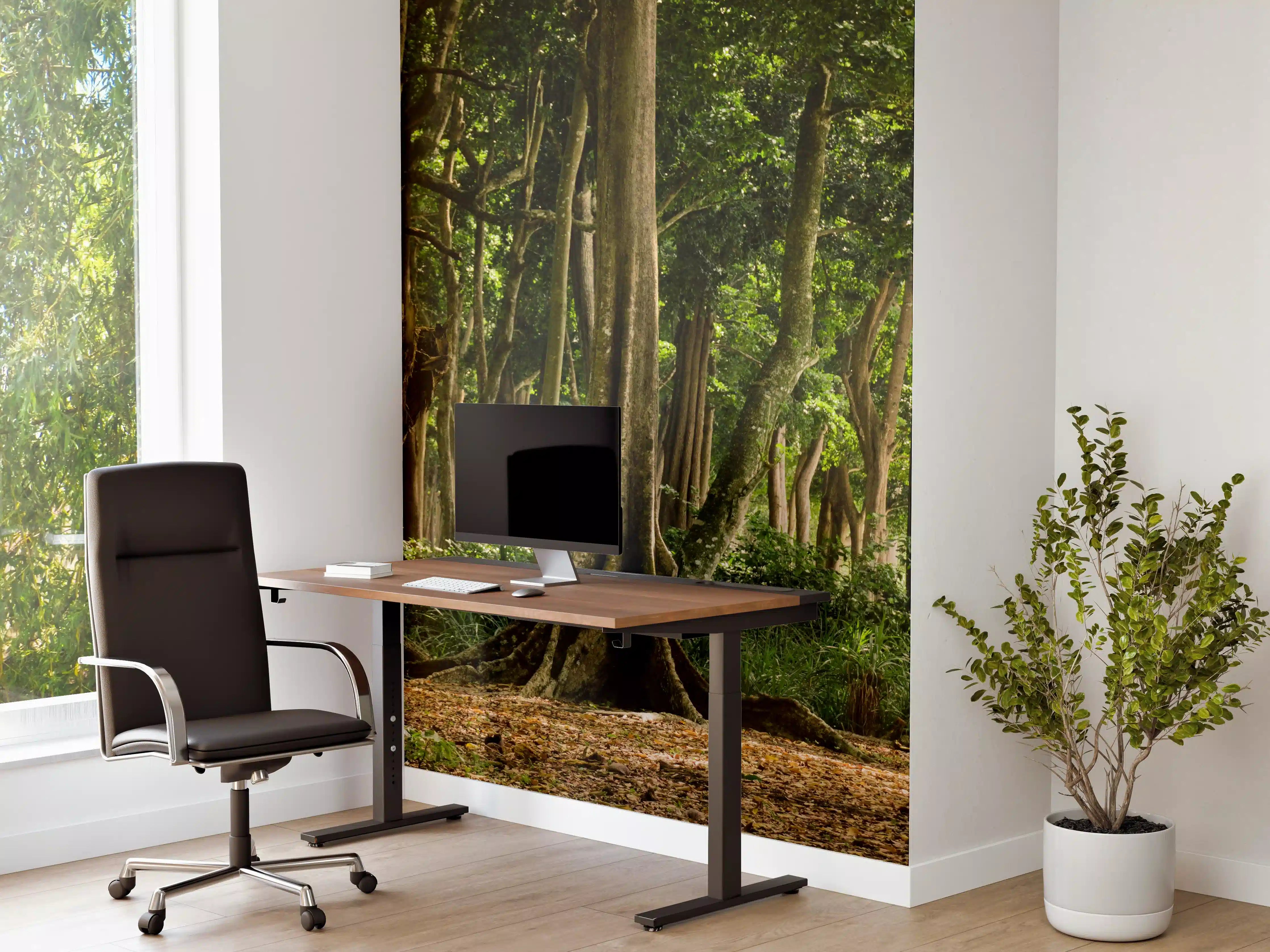 Büro Wandgestaltung - Tropischer Wald auf der Insel Havelock