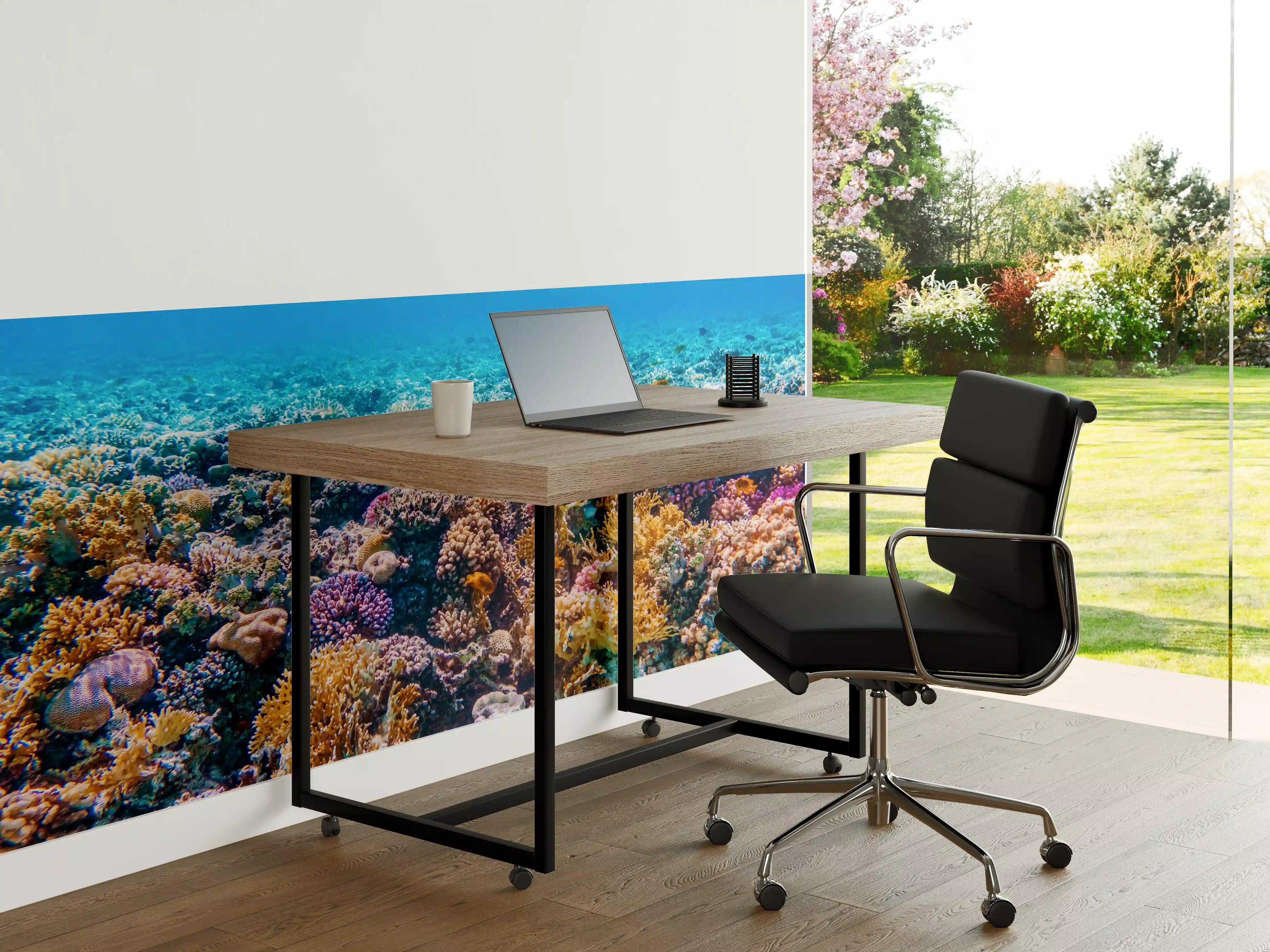 Büro Wandgestaltung - Tropisches Korallenriff