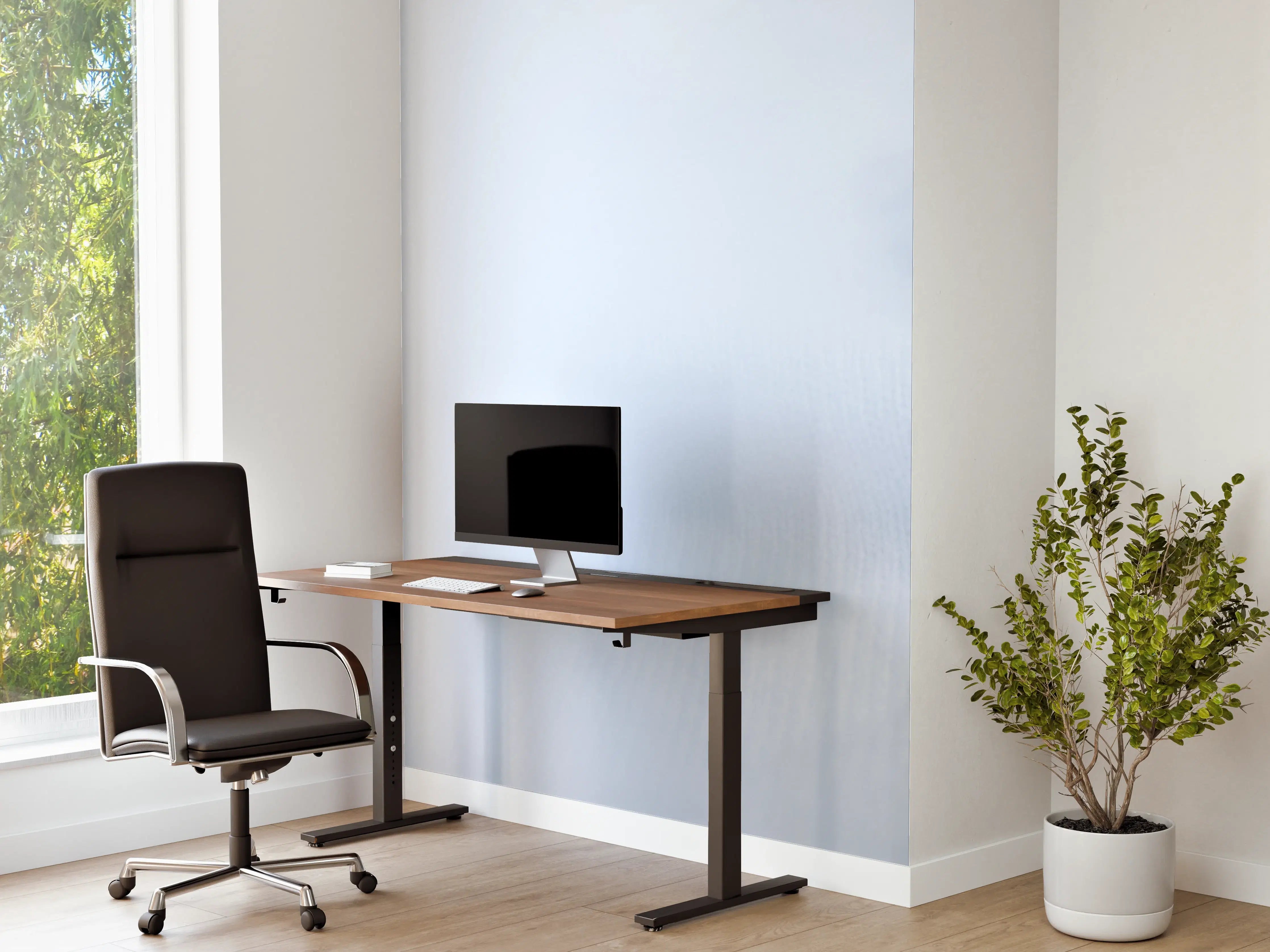 Büro Wandgestaltung - Türkiser Kaschmirstoff