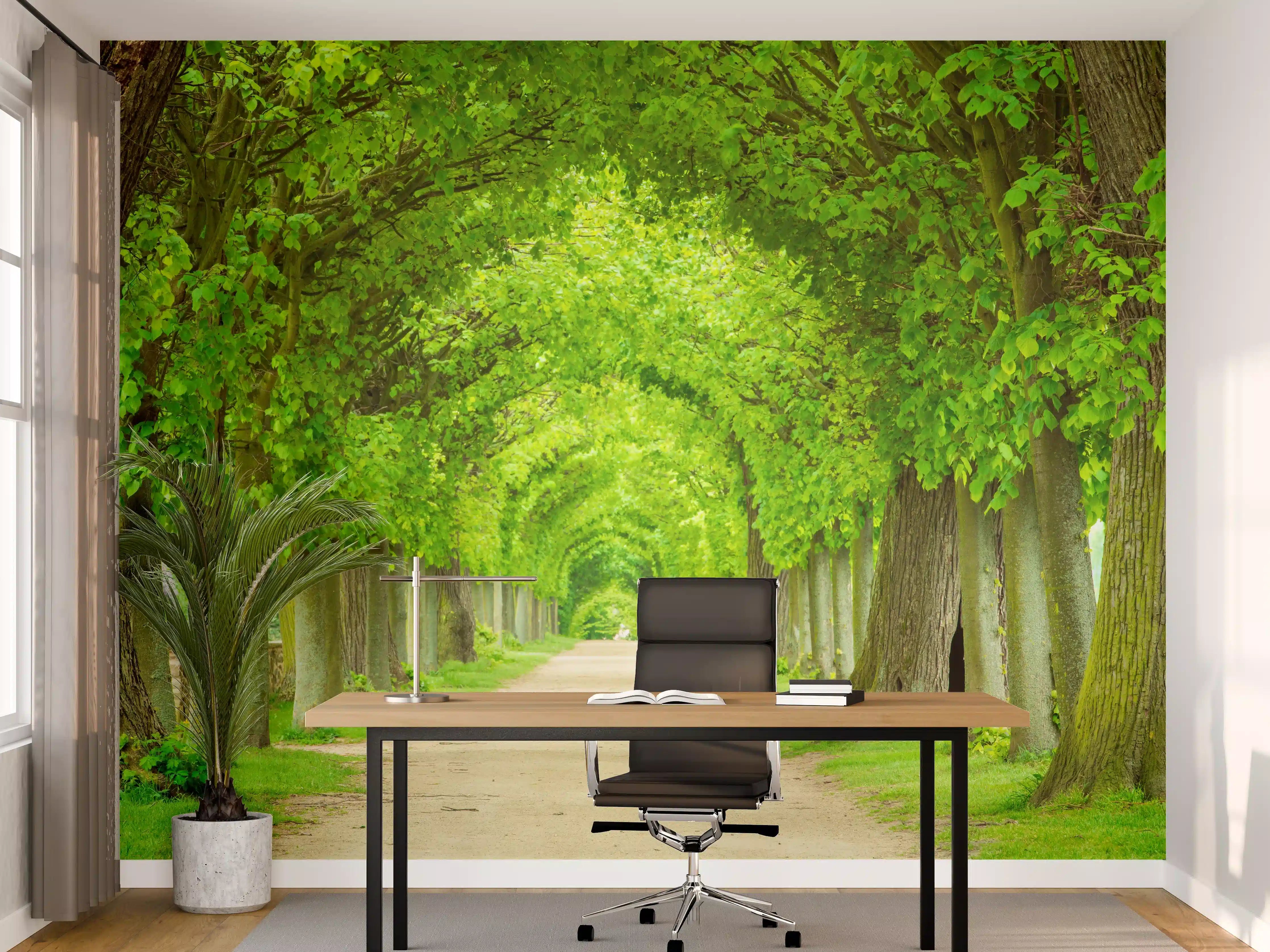 Büro Wandgestaltung - Tunnelartige Lindenallee im Frühling