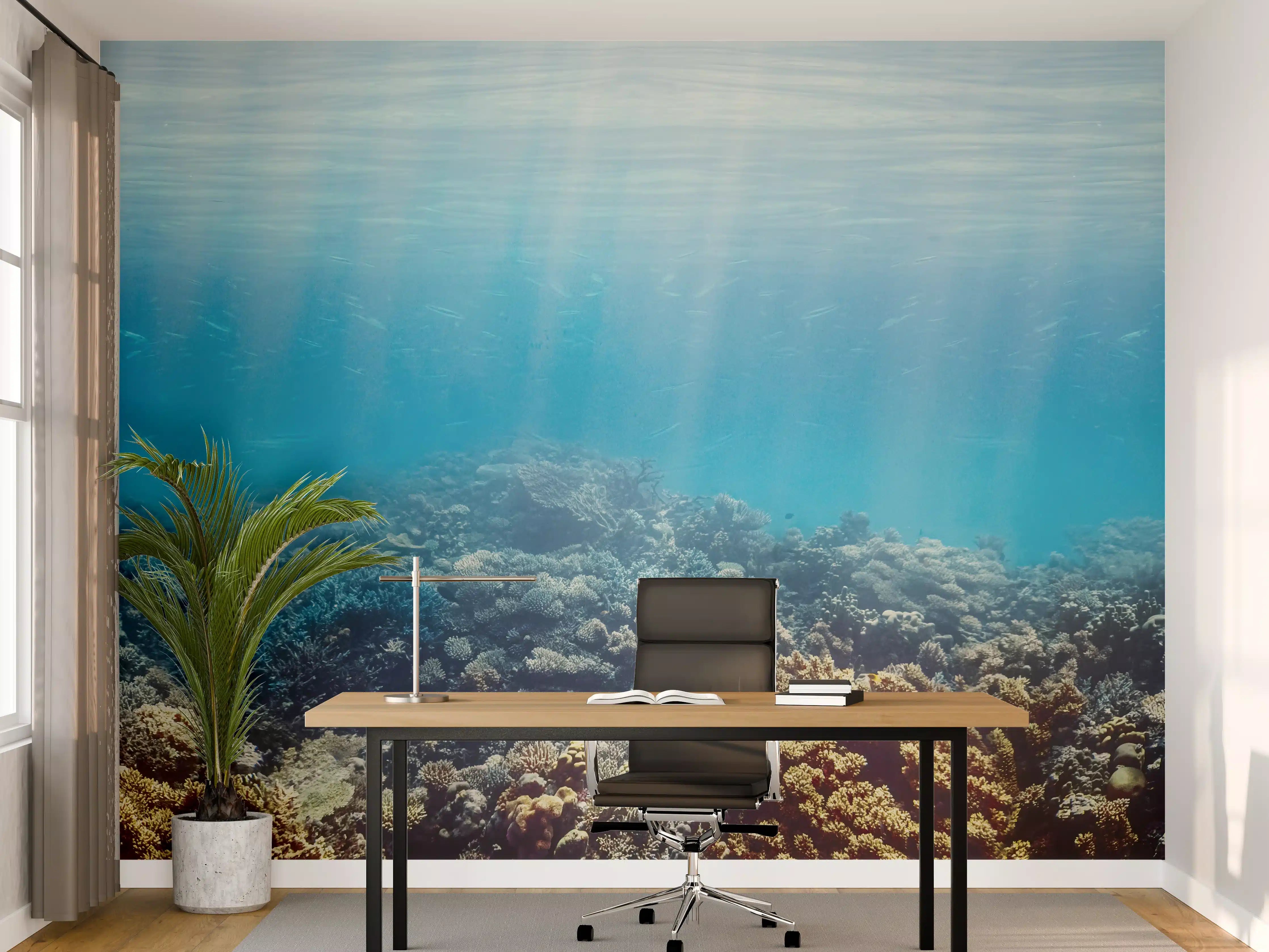 Büro Wandgestaltung - Unterwasser-Korallenriff im Roten Meer