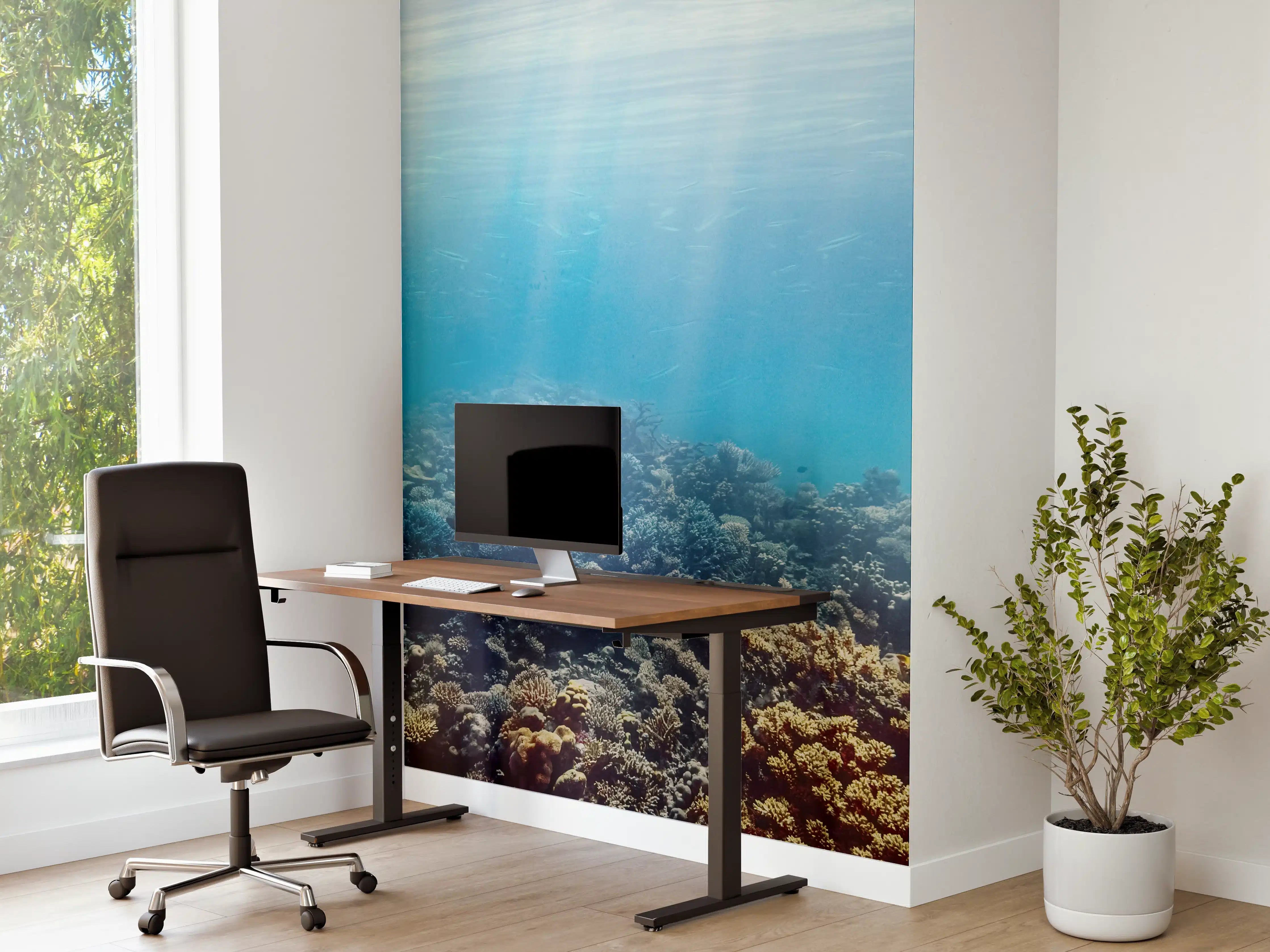 Büro Wandgestaltung - Unterwasser-Korallenriff im Roten Meer