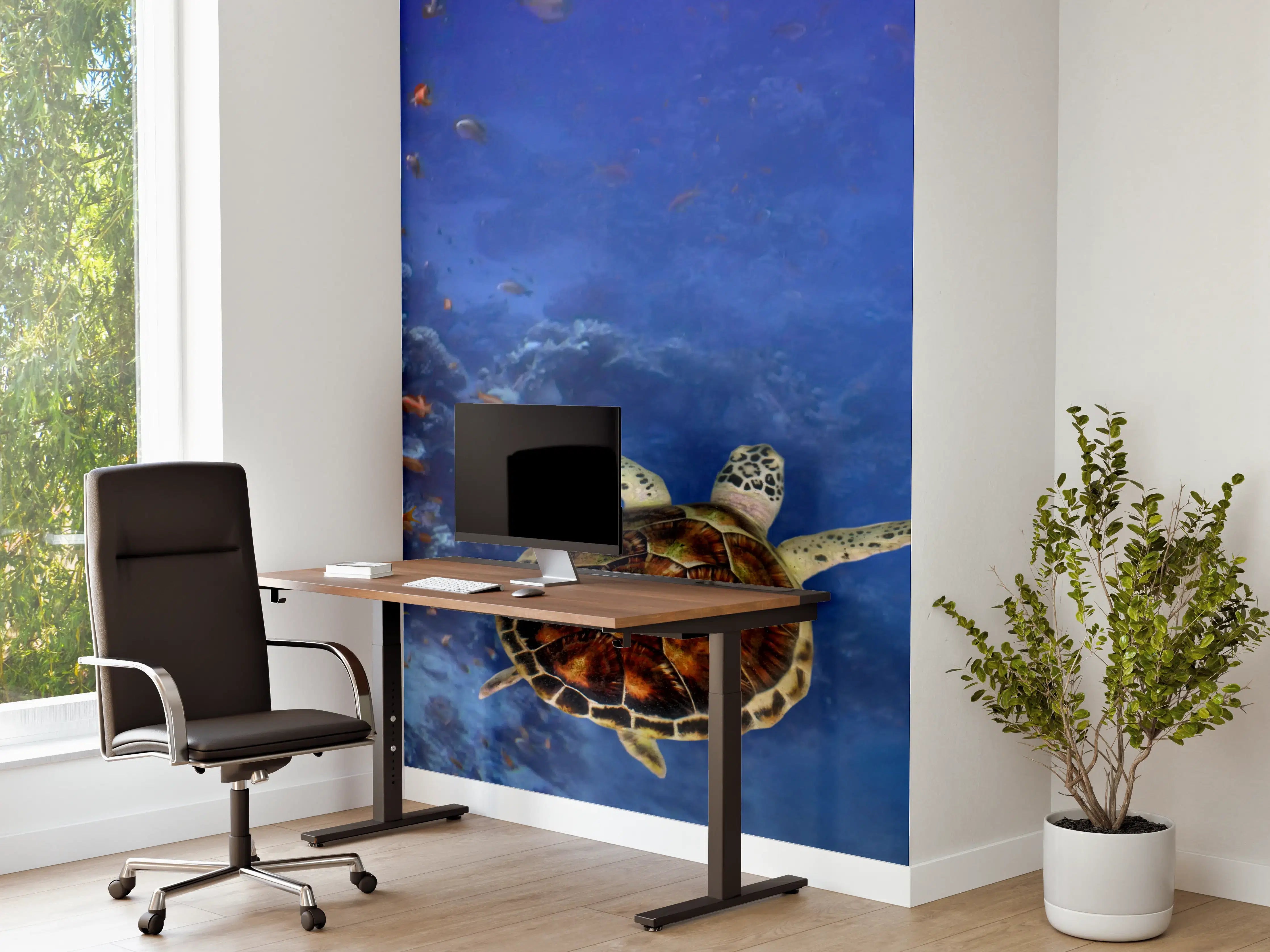 Büro Wandgestaltung - Unterwasser-Panorama mit Schildkröte
