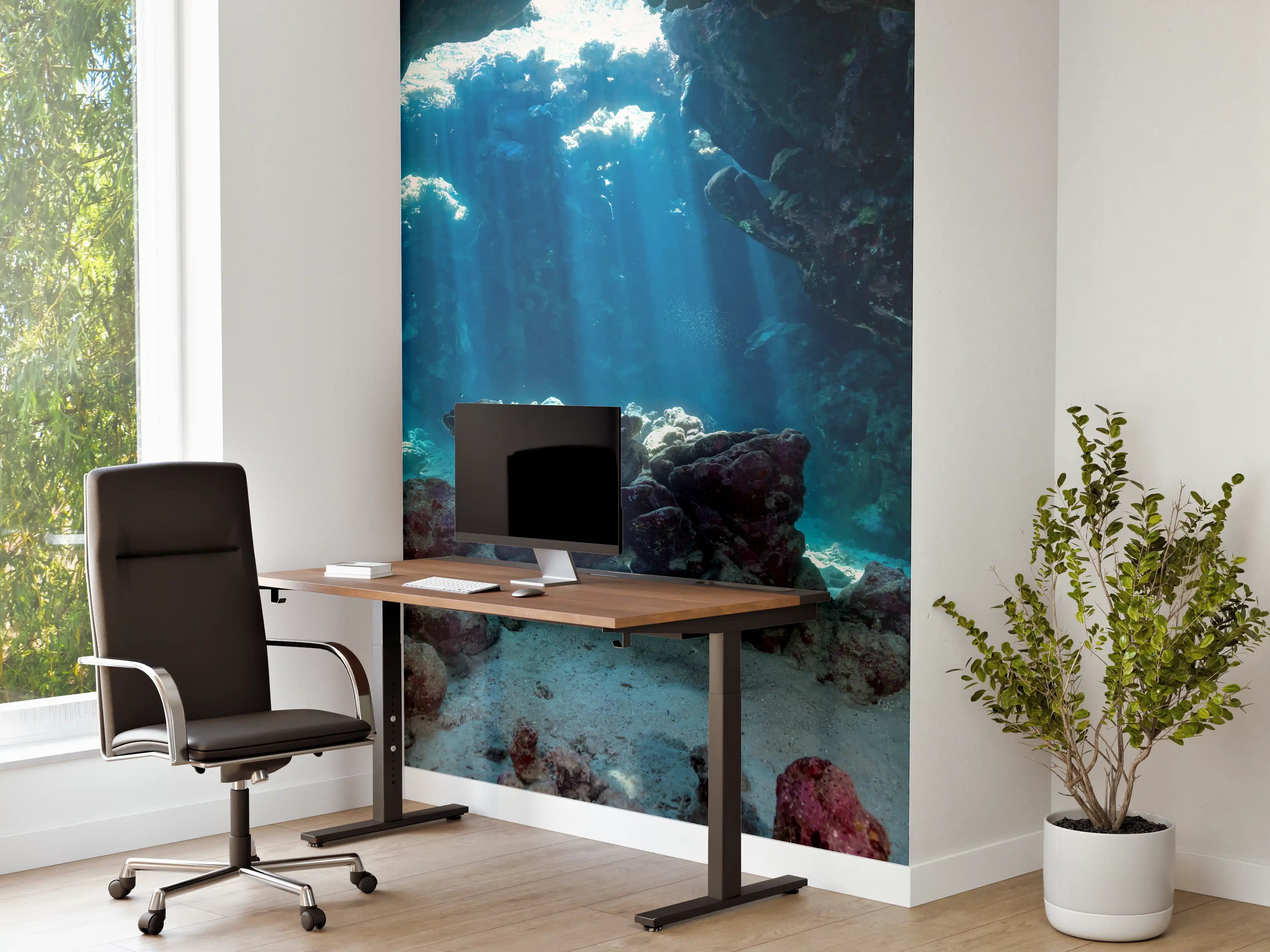 Büro Wandgestaltung - Unterwasseransicht eines Riffs