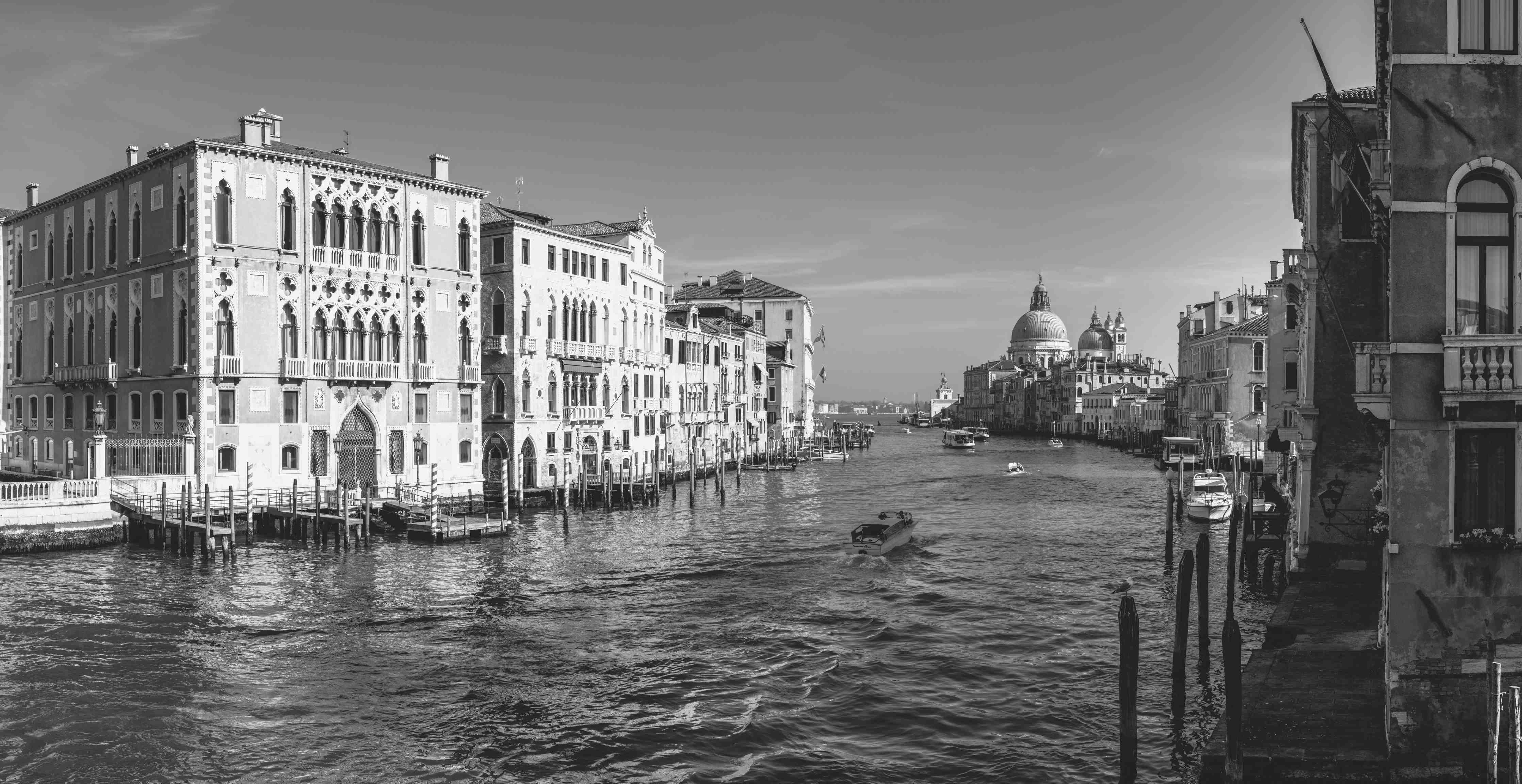 Büro Wandgestaltung-Venedig in Schwarz und Weiß
