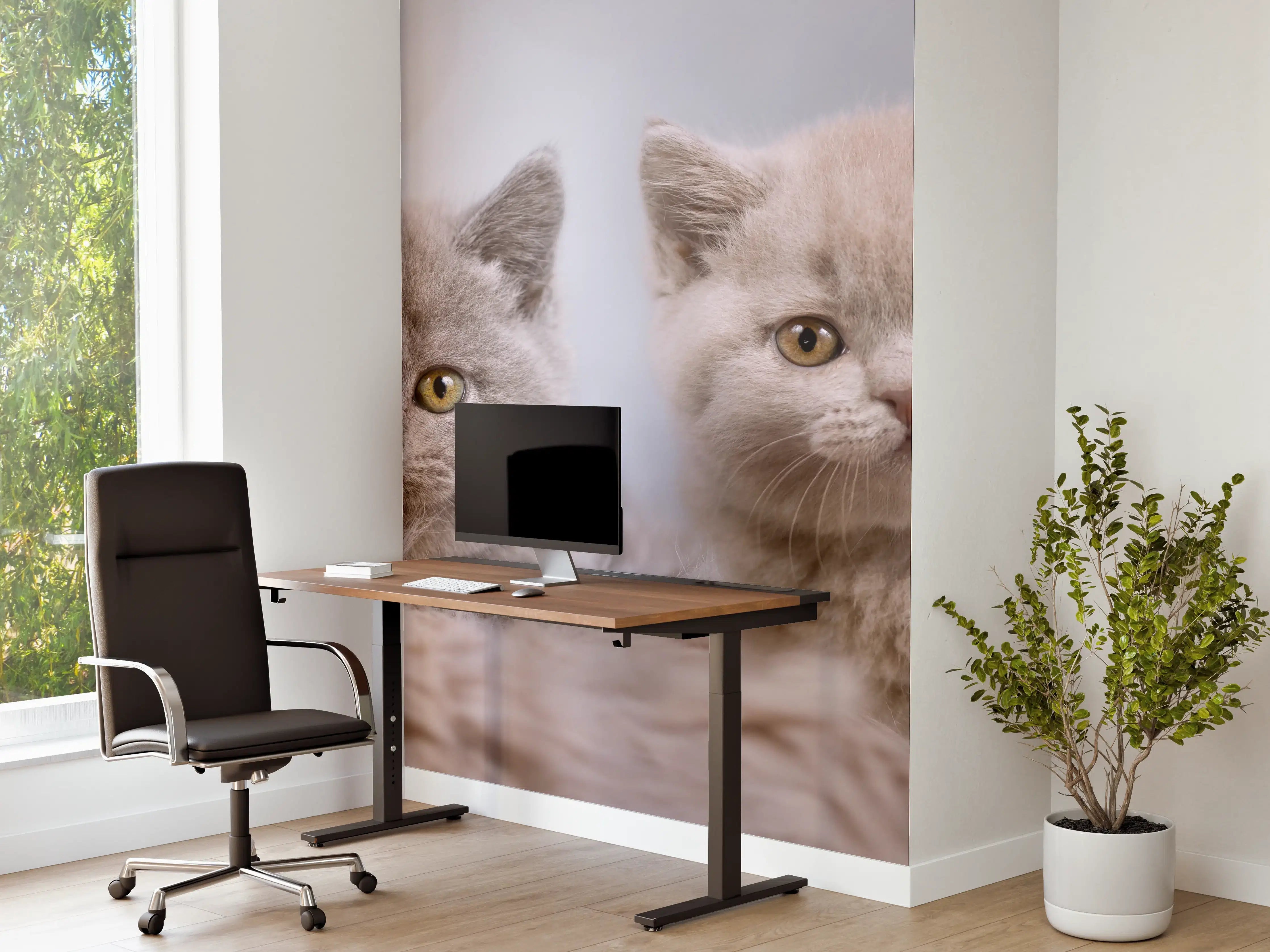 Büro Wandgestaltung - Vier süße Katzenbaby