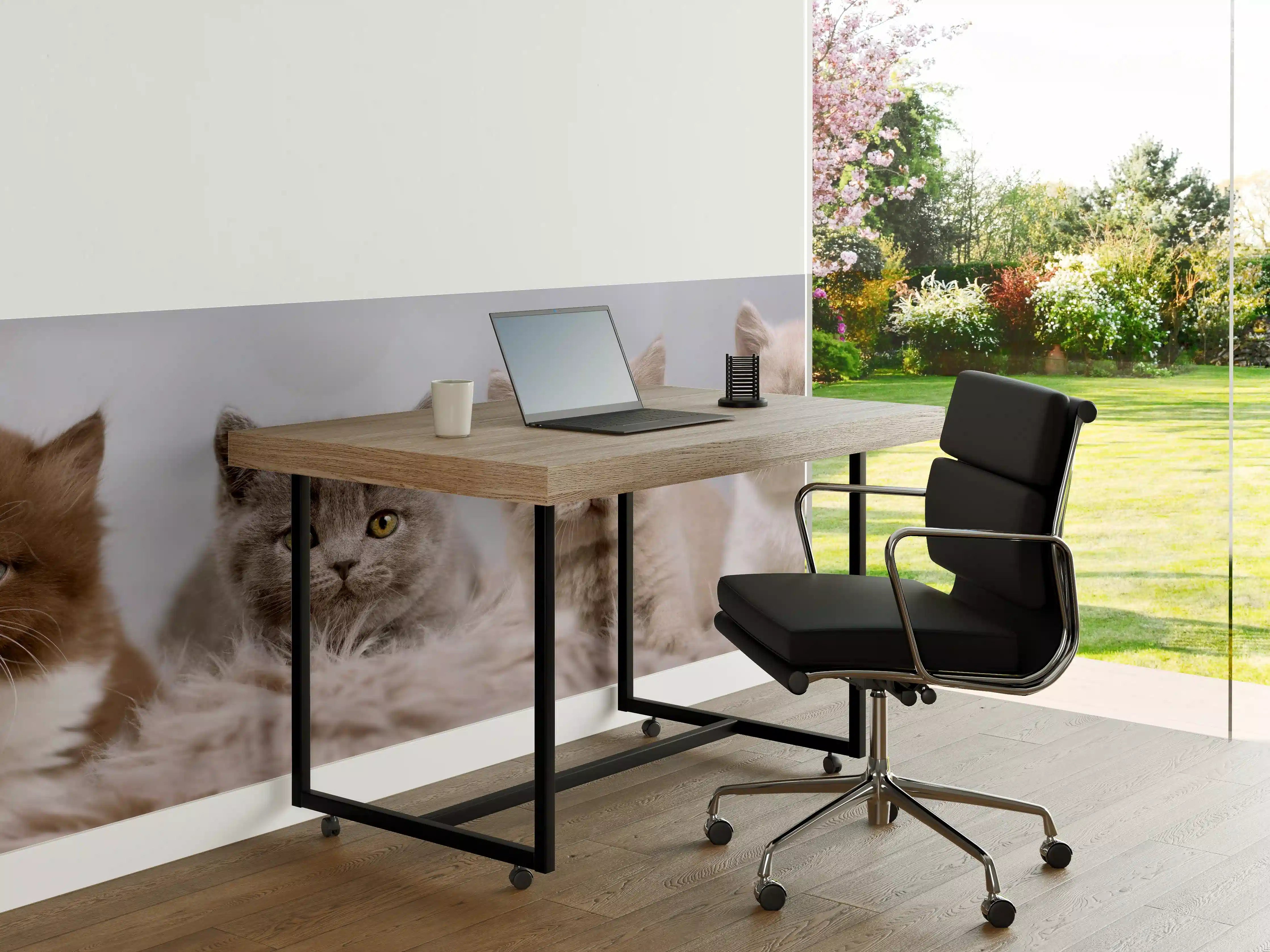 Büro Wandgestaltung - Vier süße Katzenbaby
