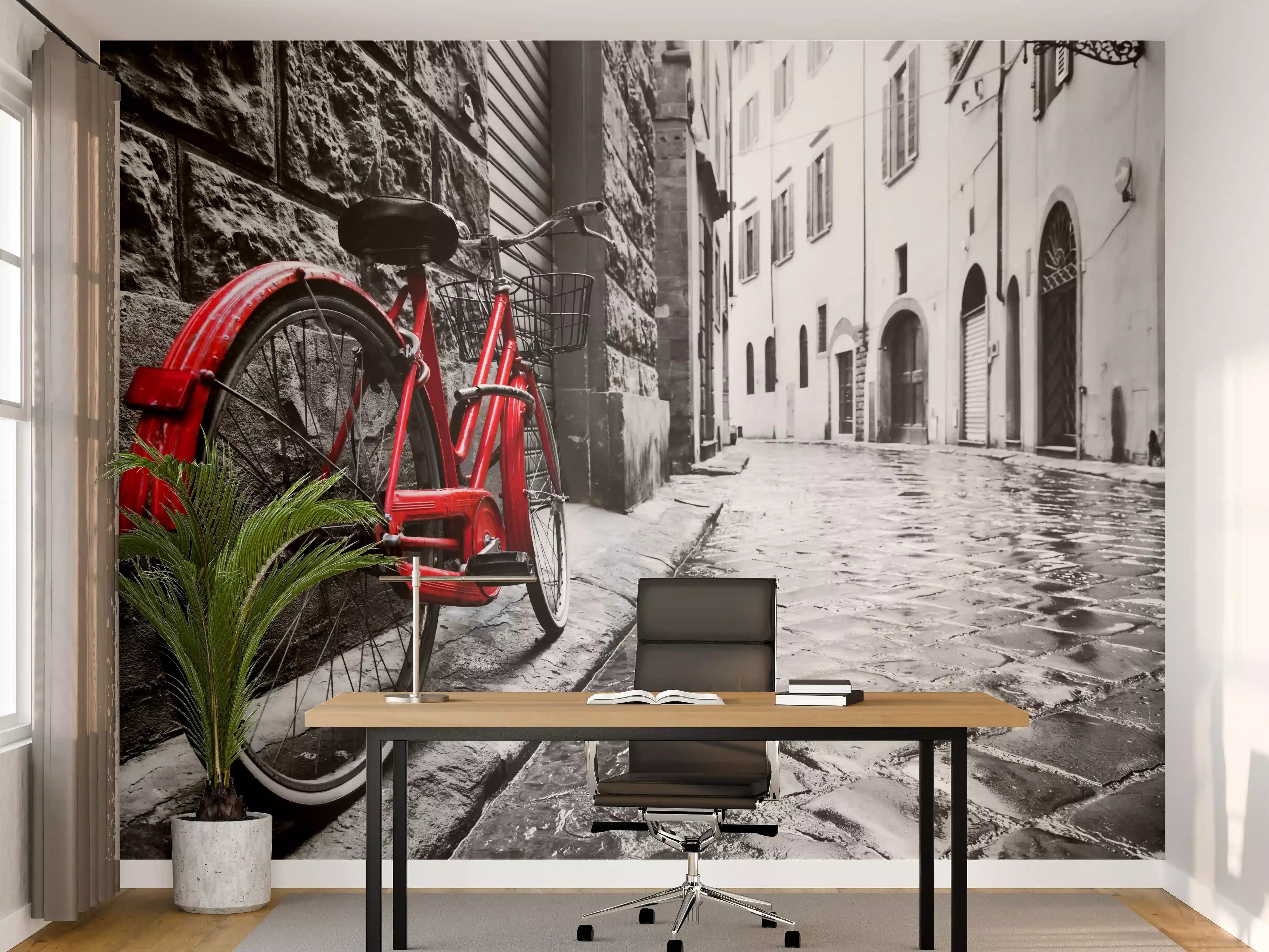 Büro Wandgestaltung - Vintage Fahrrad - Altstadt