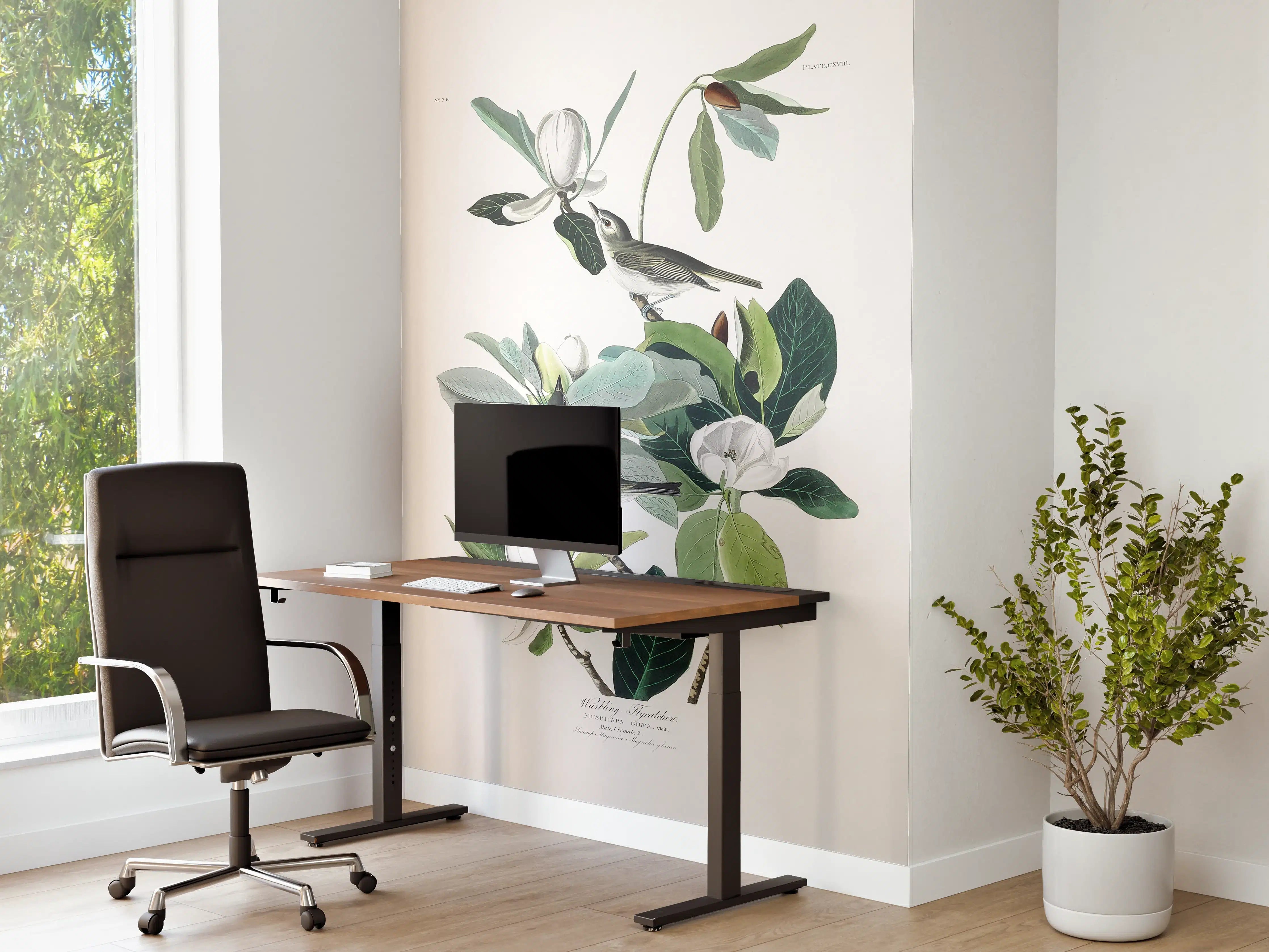 Büro Wandgestaltung - Vogel Gemälde - John James Audubon