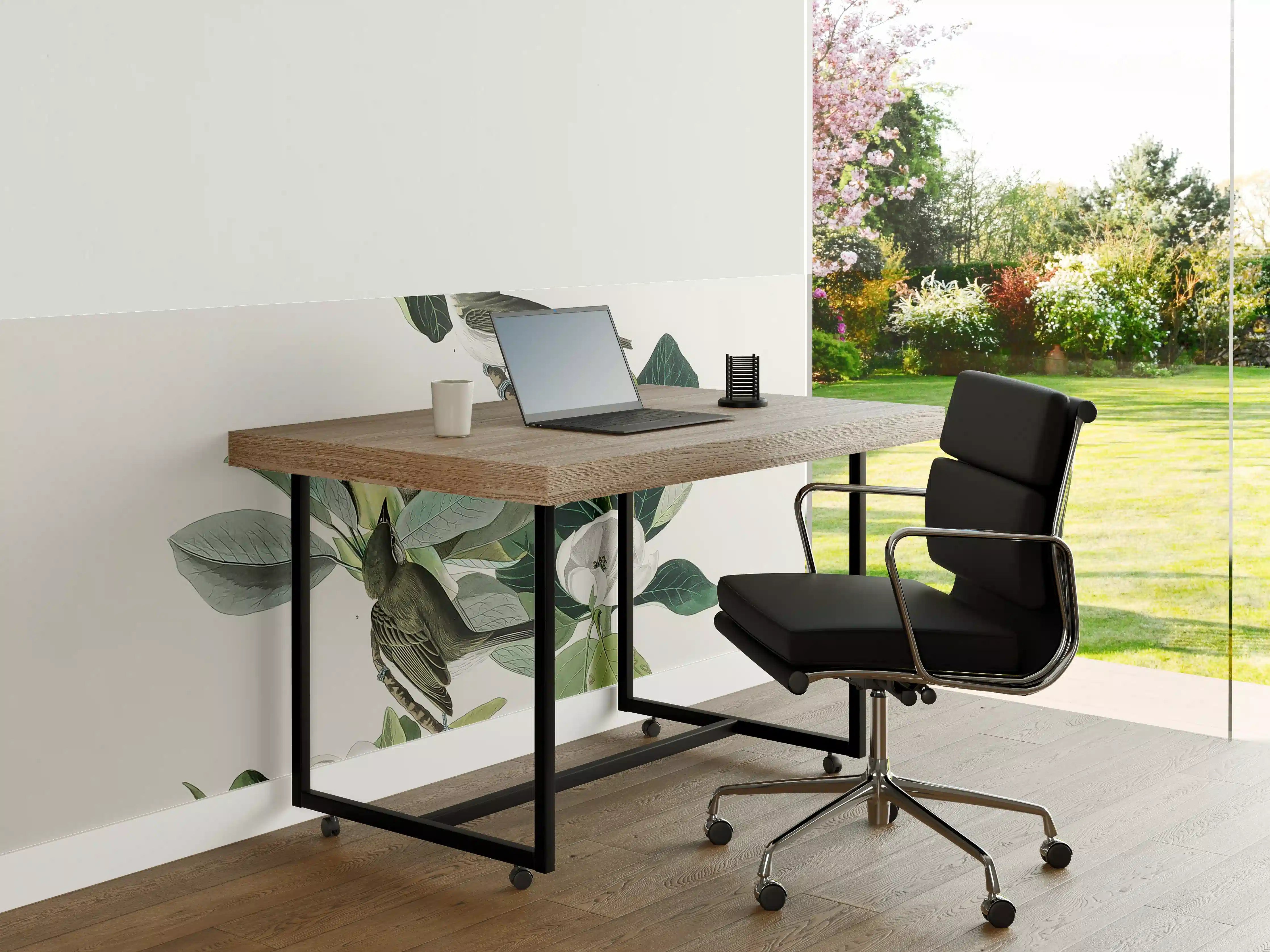 Büro Wandgestaltung - Vogel Gemälde - John James Audubon
