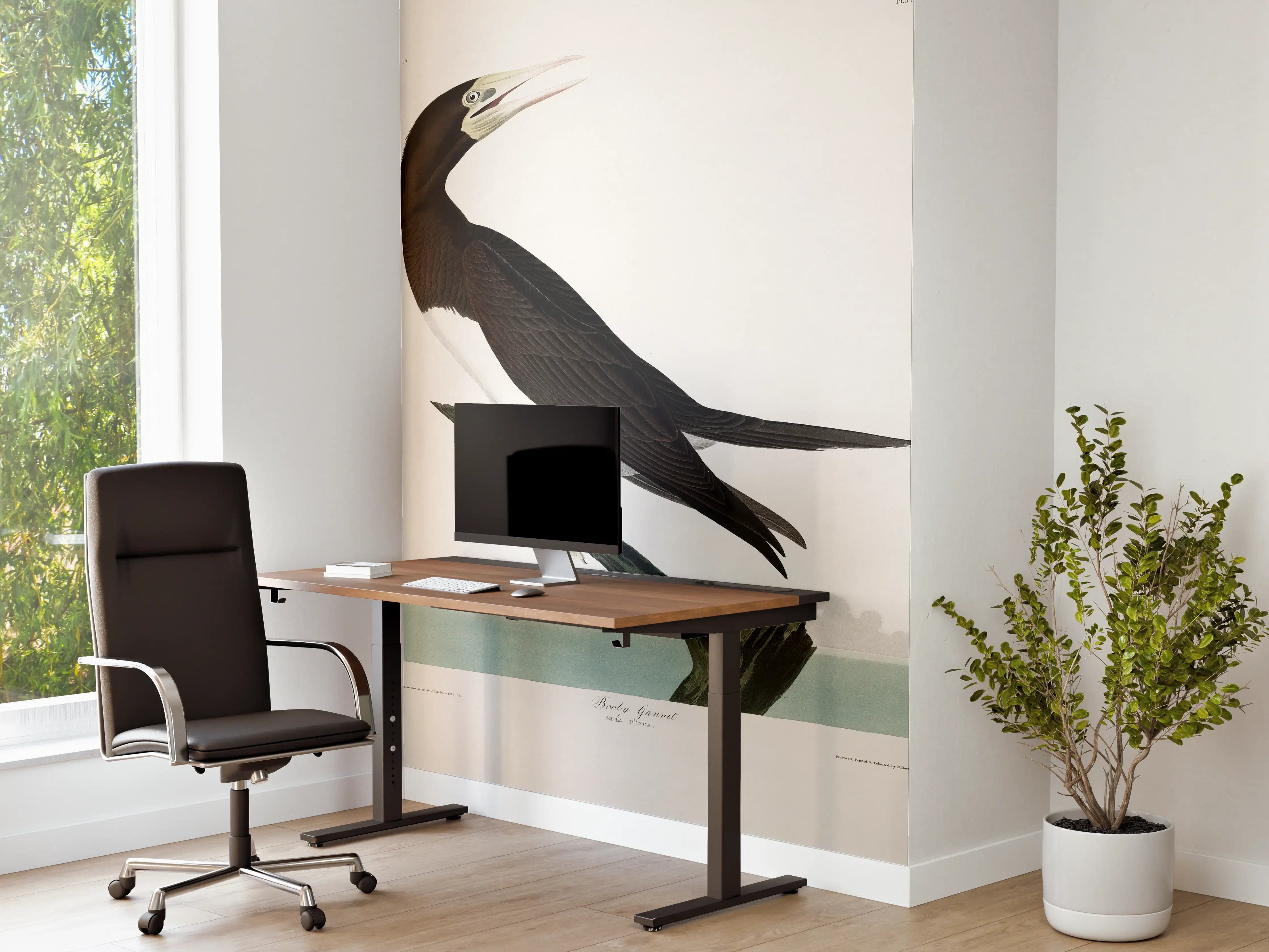 Büro Wandgestaltung - Vogel Portrait - Robert Havel