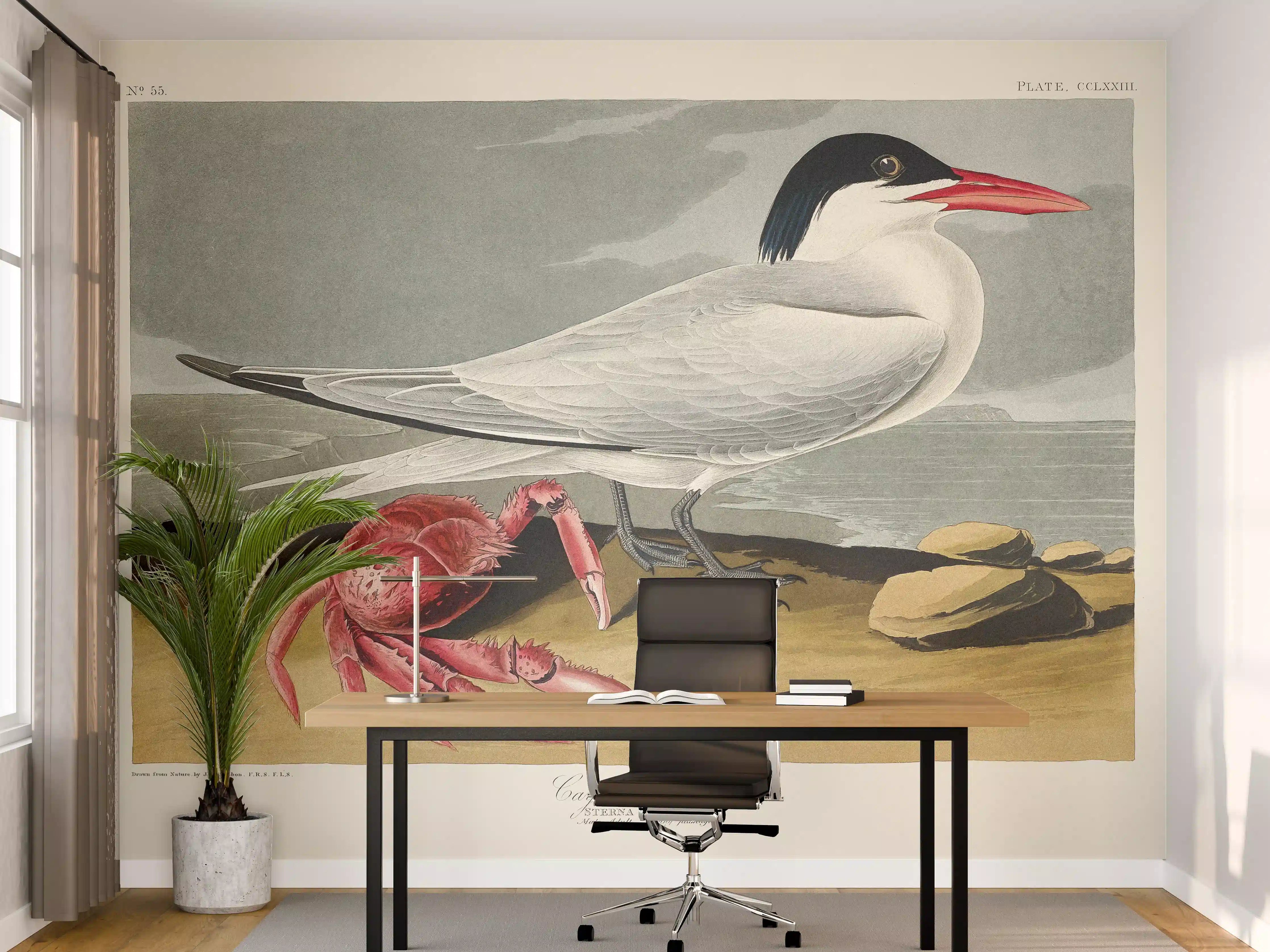 Büro Wandgestaltung - Vogel Portrait - Robert Havell