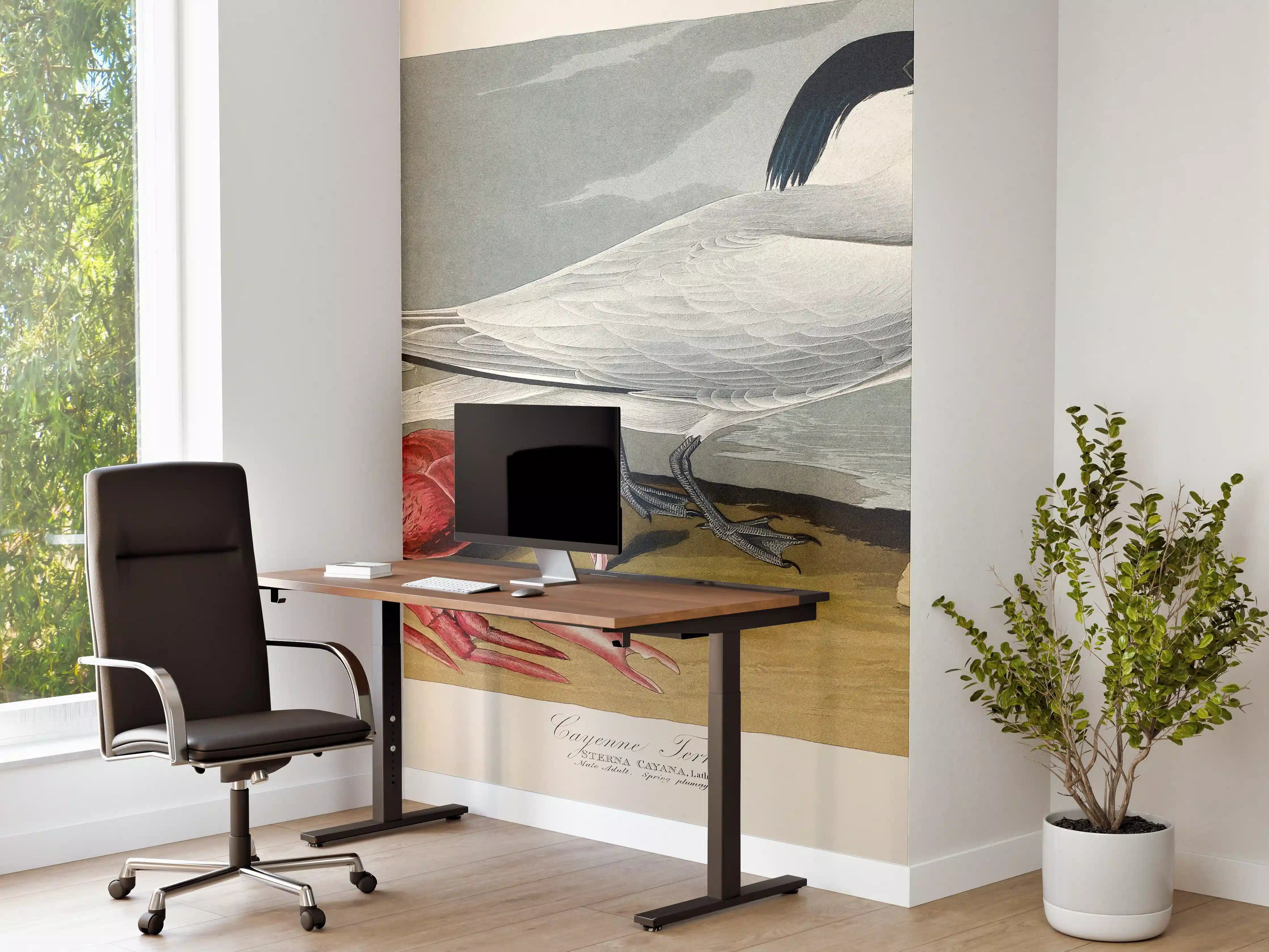 Büro Wandgestaltung - Vogel Portrait - Robert Havell